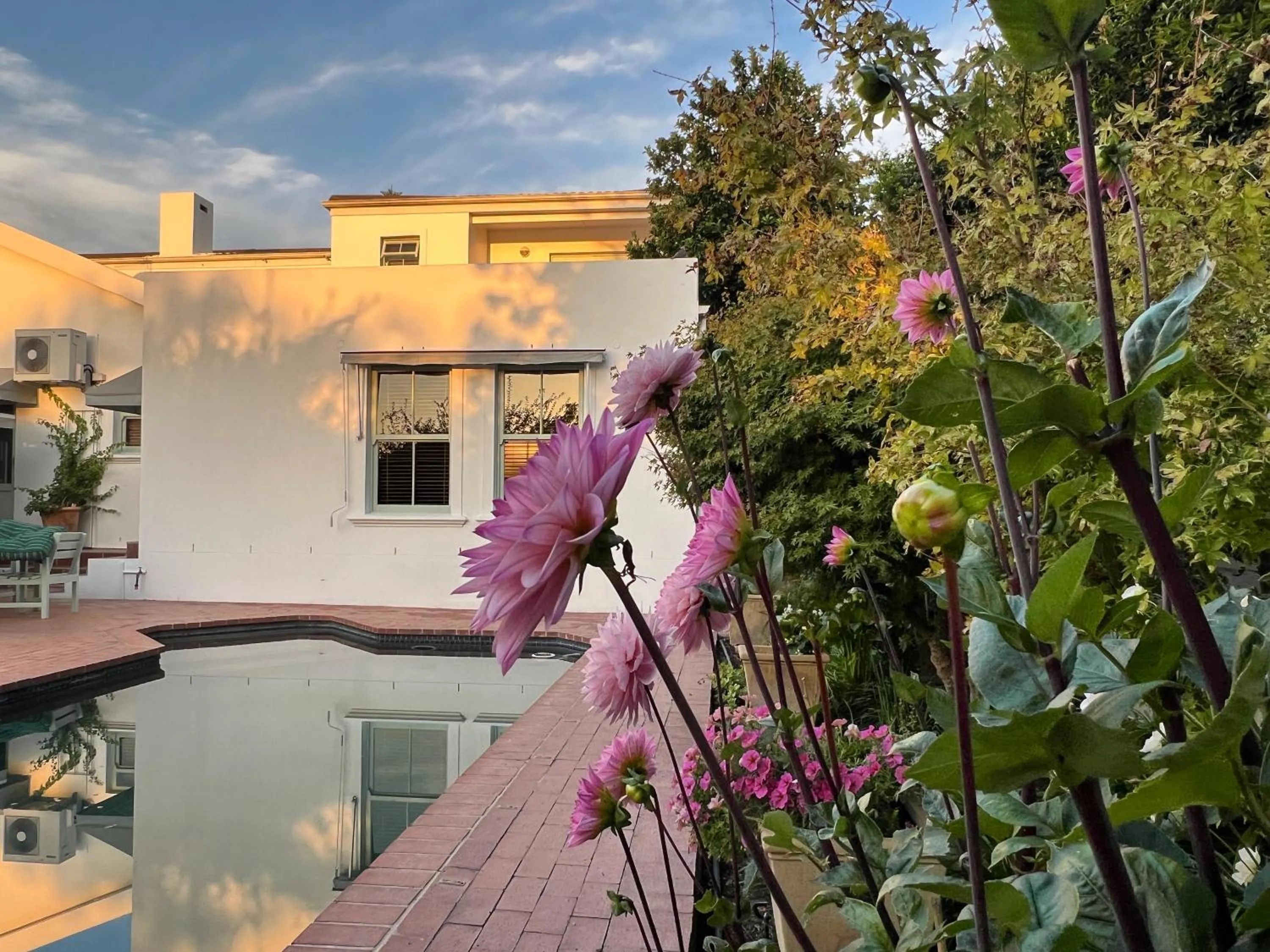 Garden in Penelope's Stellenbosch