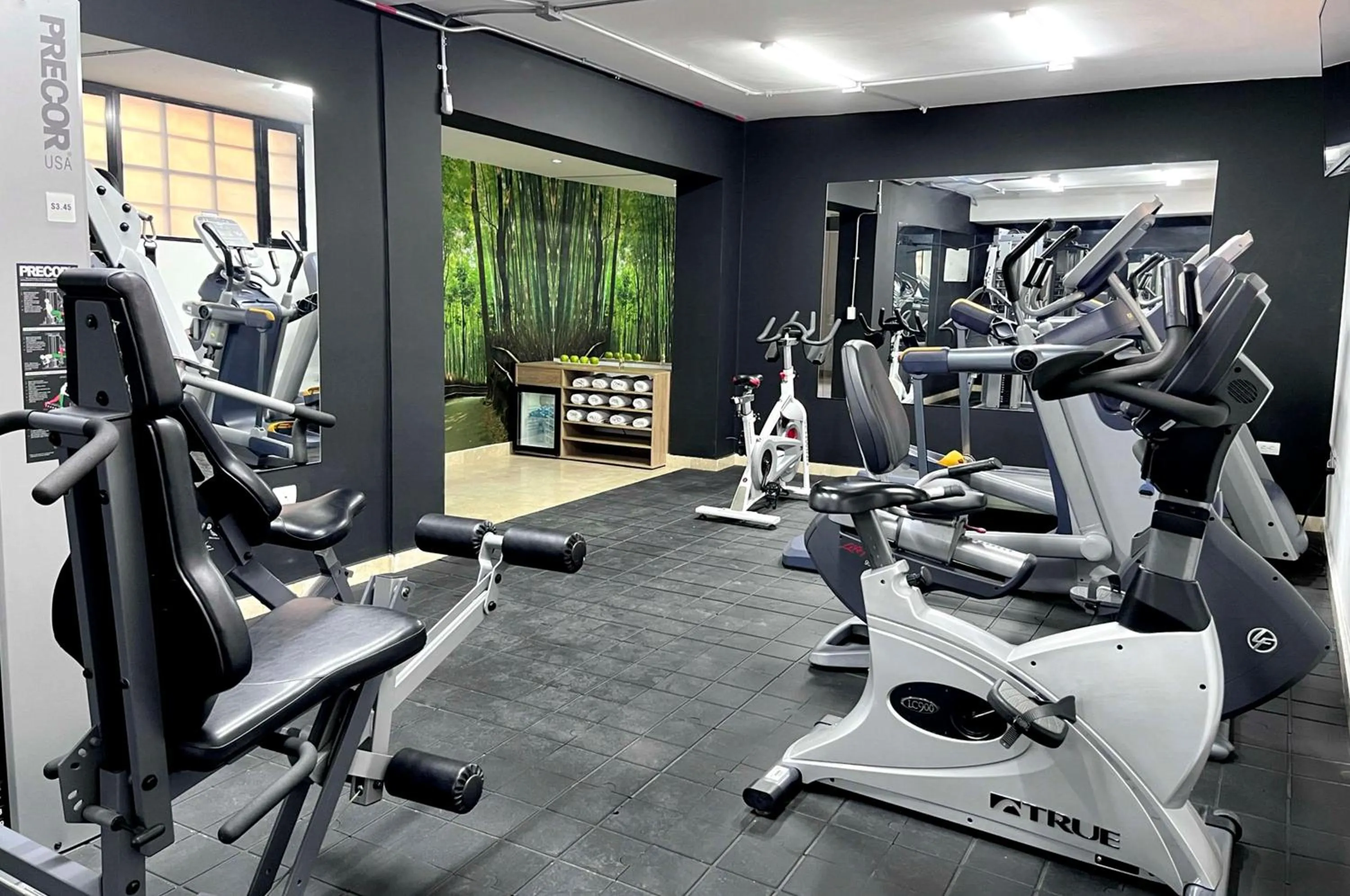 Fitness centre/facilities in NH Boulevard del Río Cali