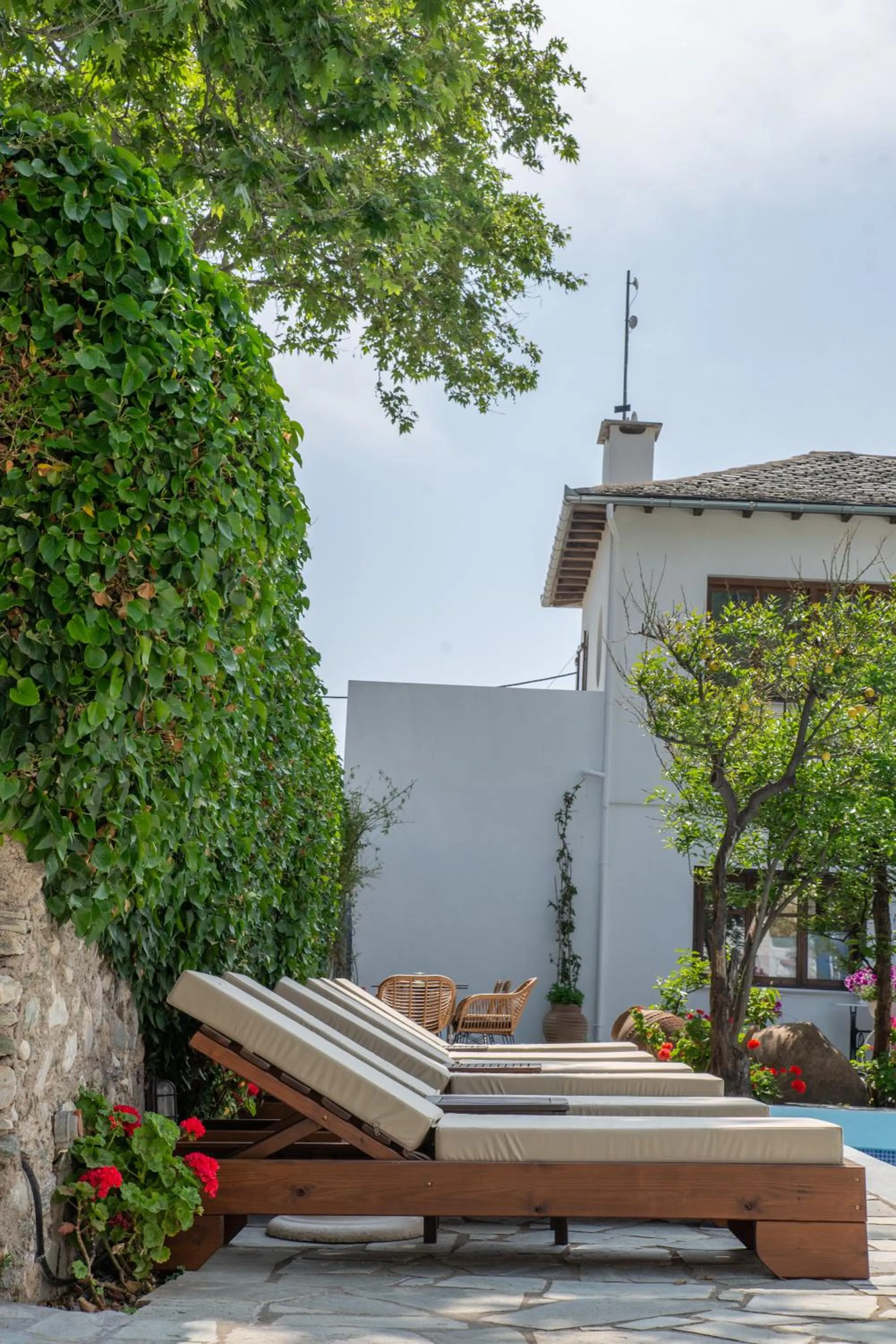 Garden in Aeolos Hotel & Villas - Pelion