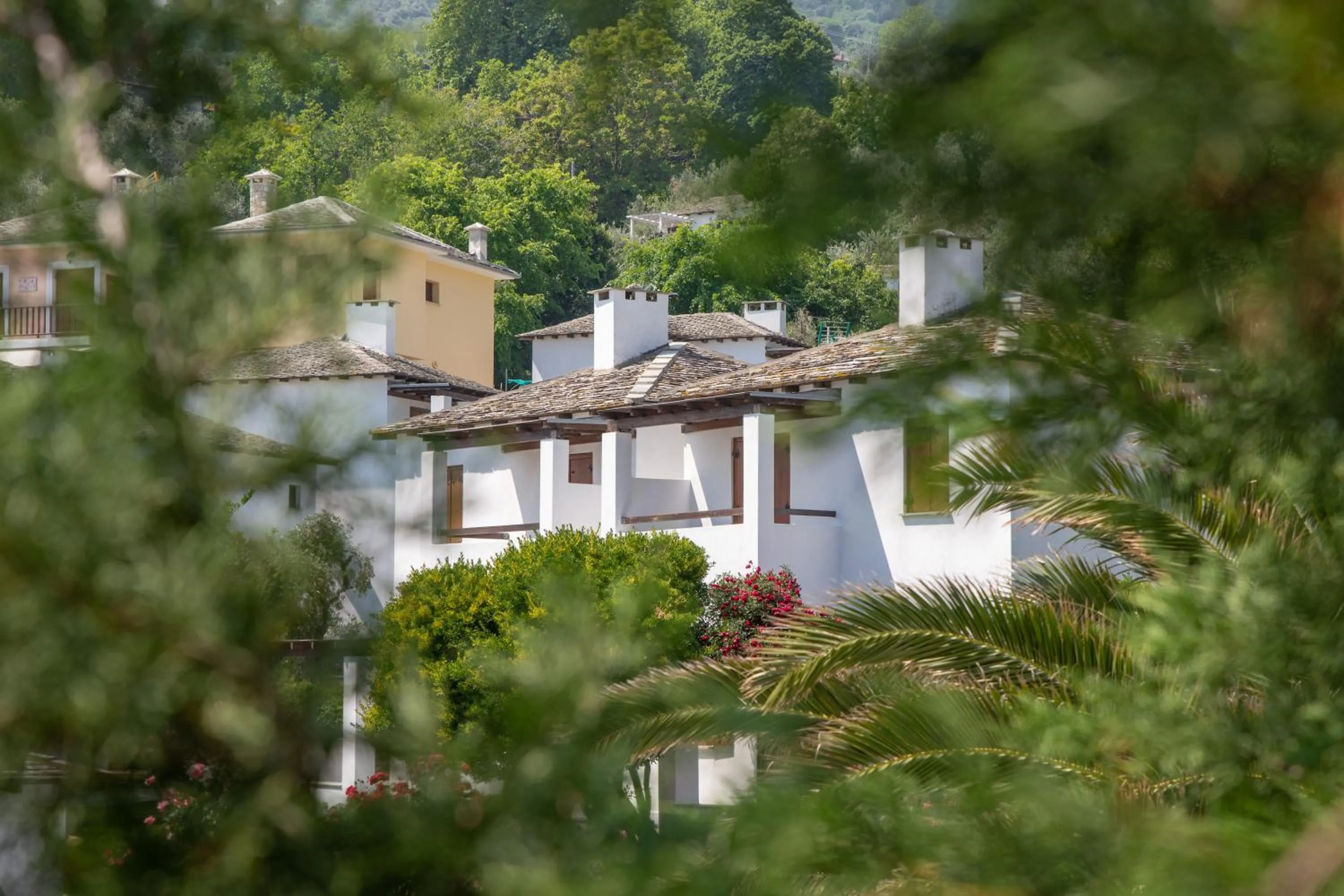 Property building in Aeolos Hotel & Villas - Pelion