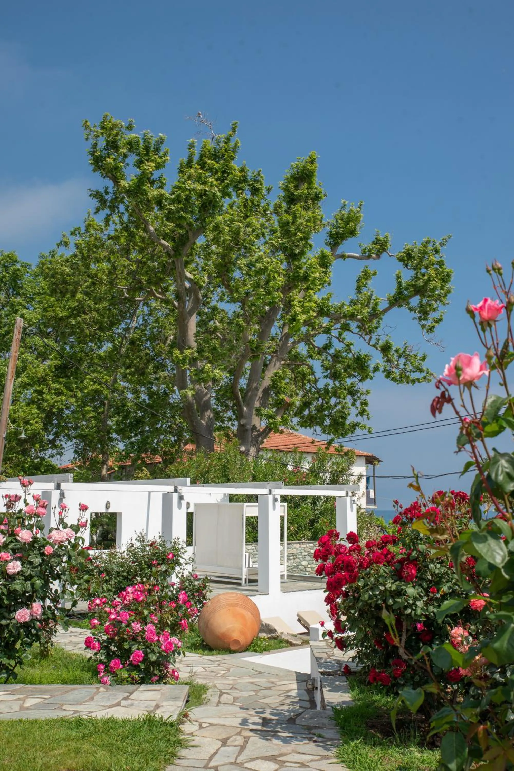 Day in Aeolos Hotel & Villas - Pelion