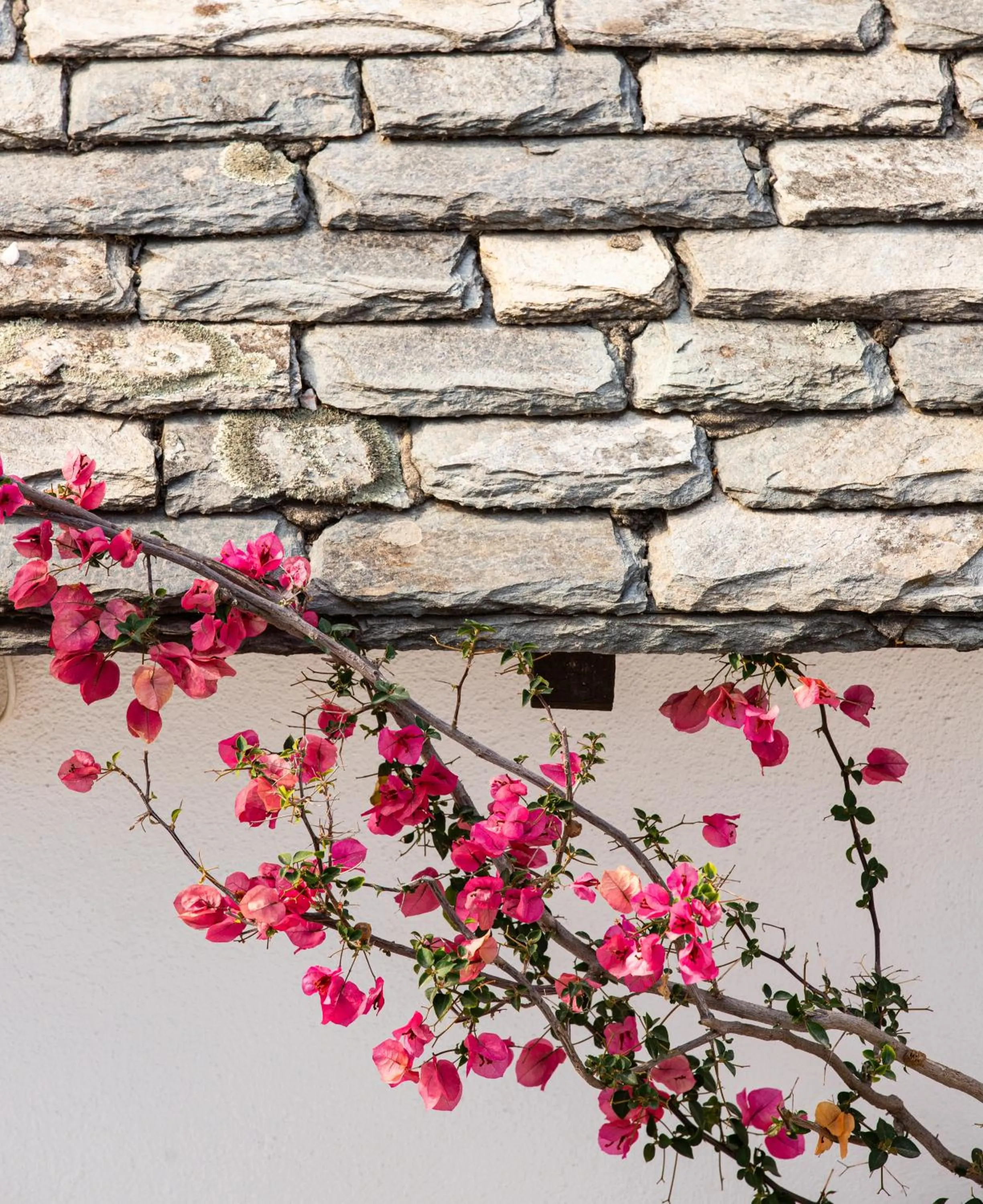 View (from property/room) in Aeolos Hotel & Villas - Pelion