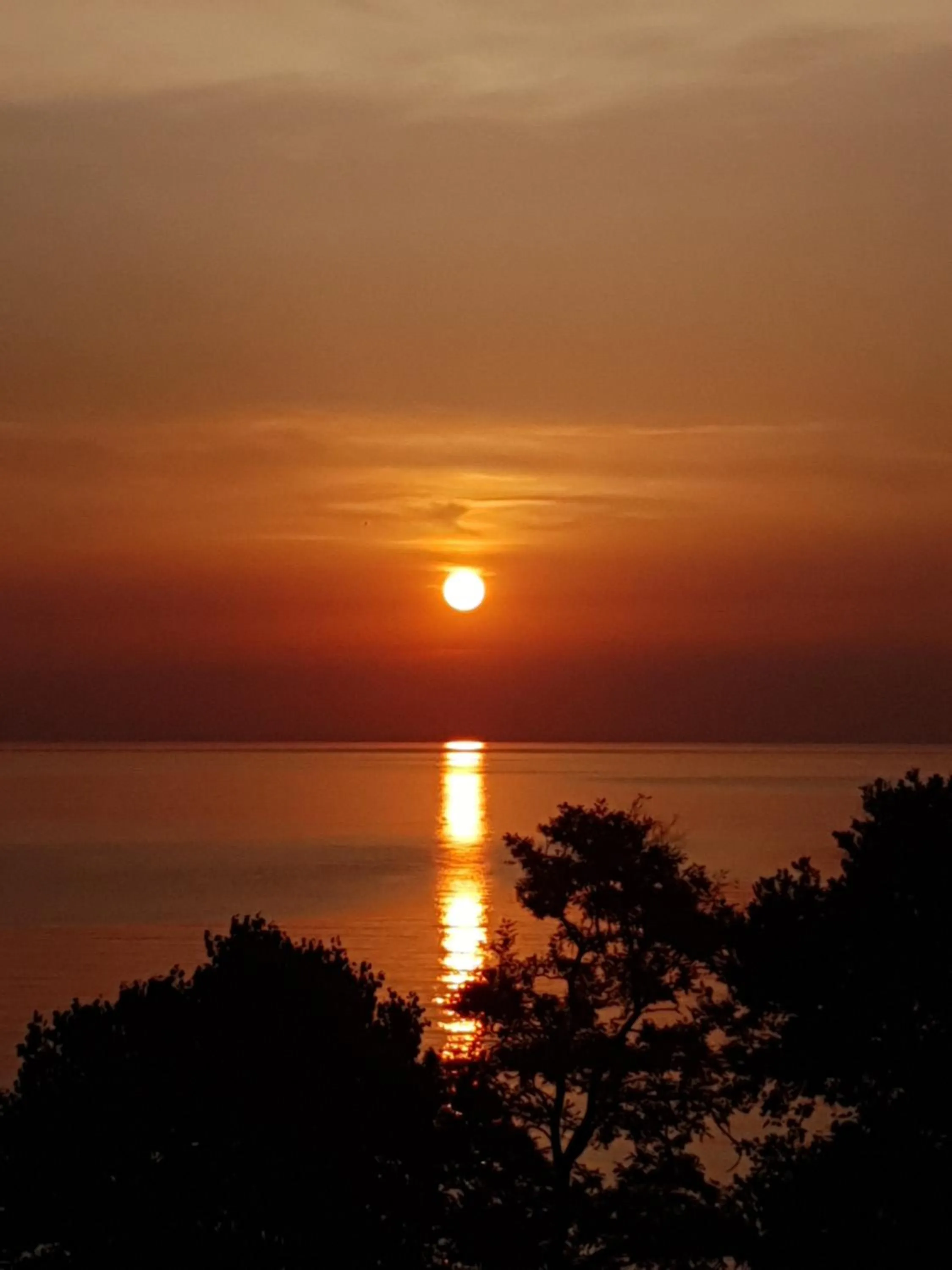 Natural landscape in Aeolos Hotel & Villas - Pelion