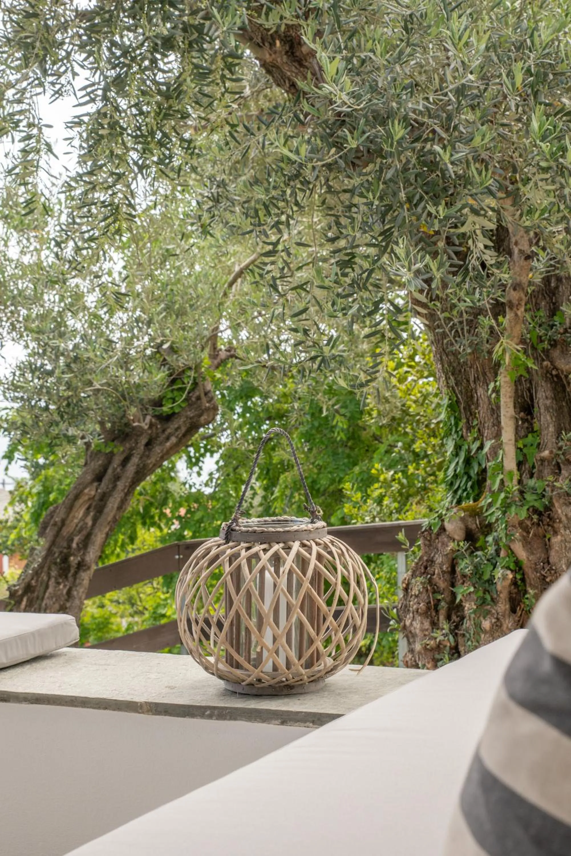 View (from property/room) in Aeolos Hotel & Villas - Pelion