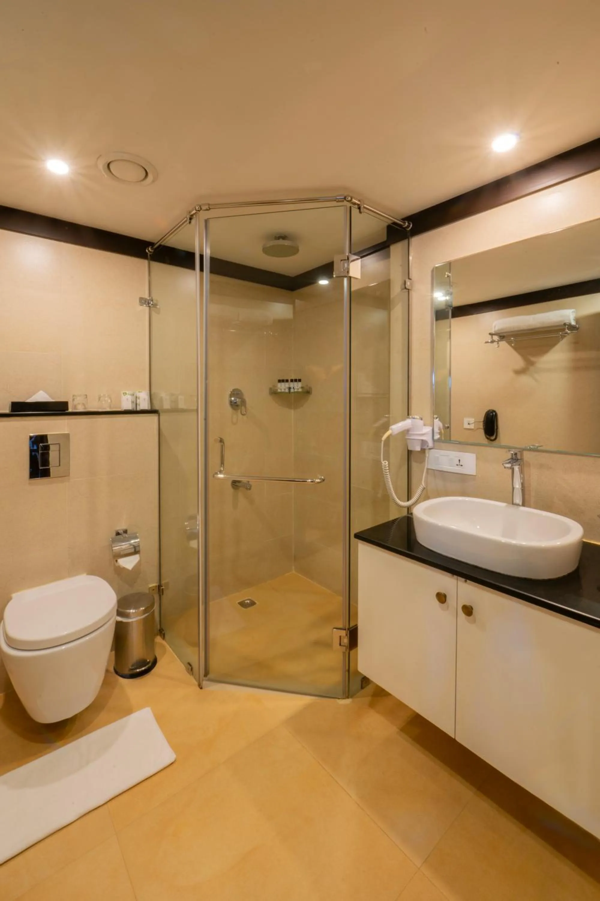 Bathroom in The Raviz Kadavu, Kozhikode