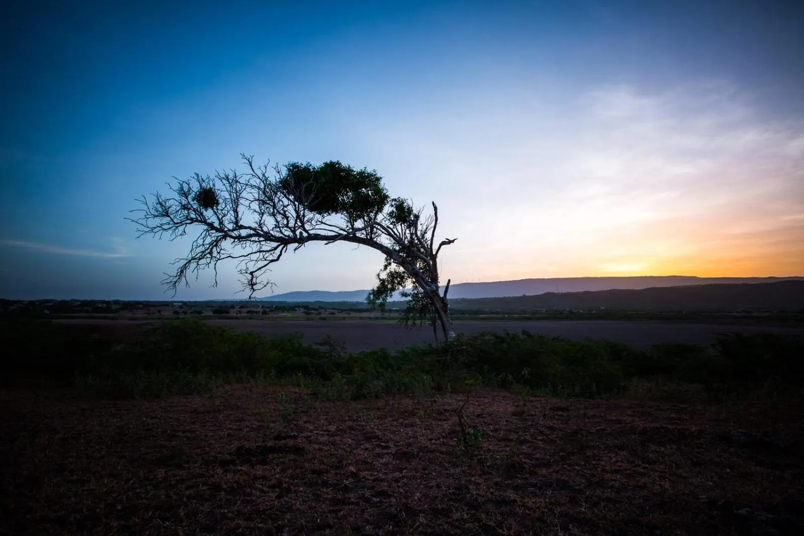 Natural landscape in Turtles Nest Villa