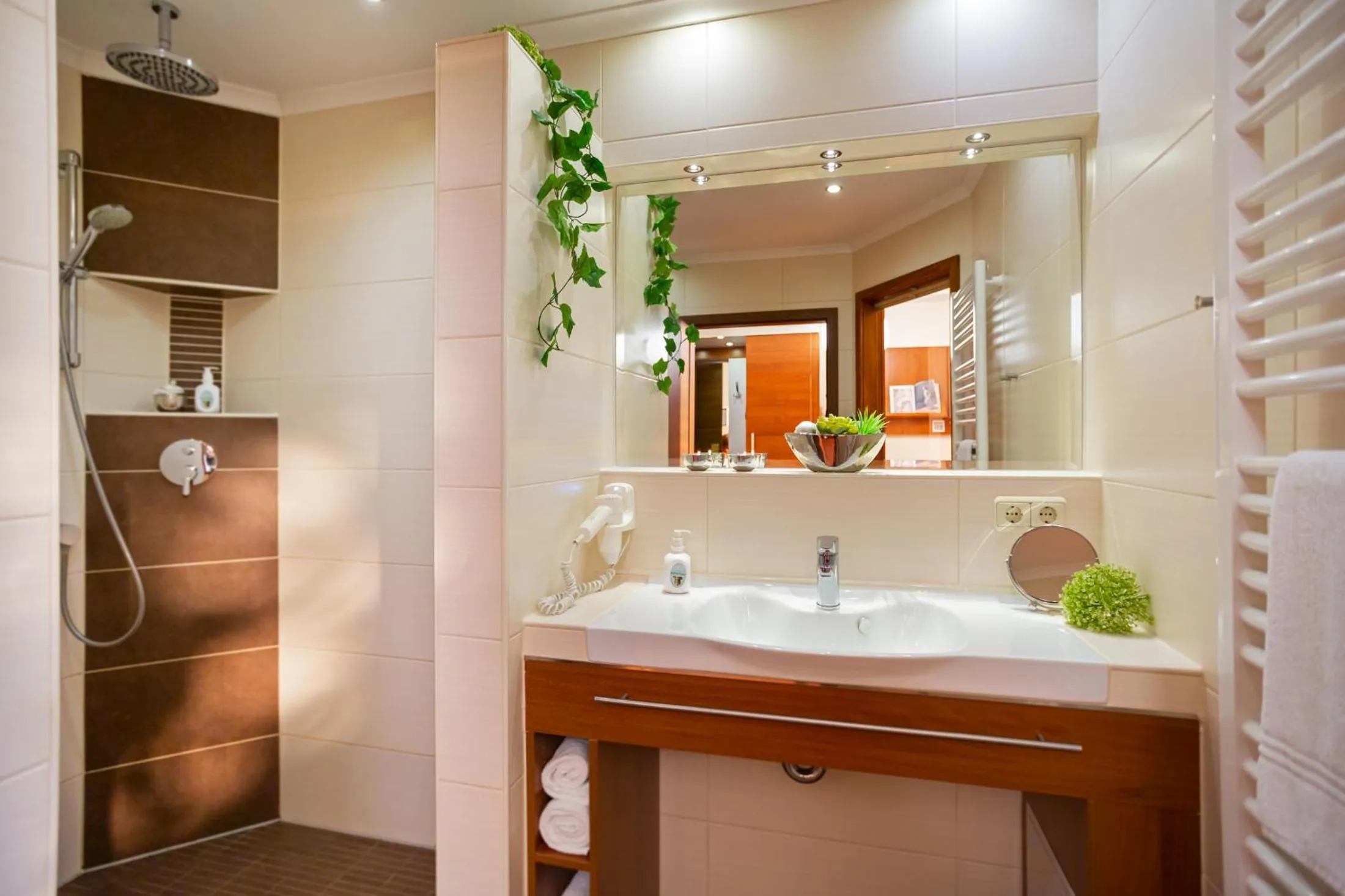 Shower in Hotel Mutter-Bahr