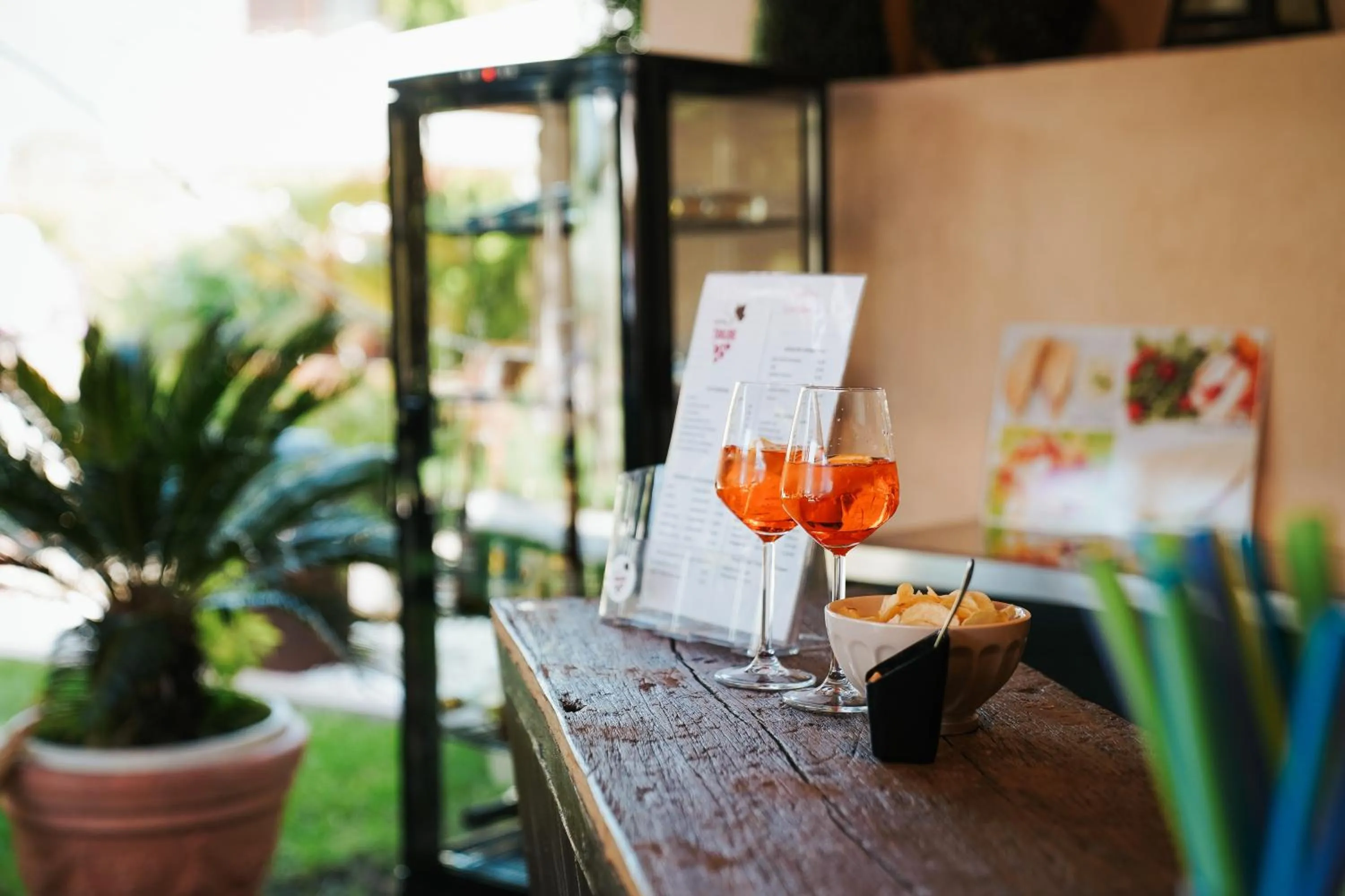 Garden in Hotel Traube