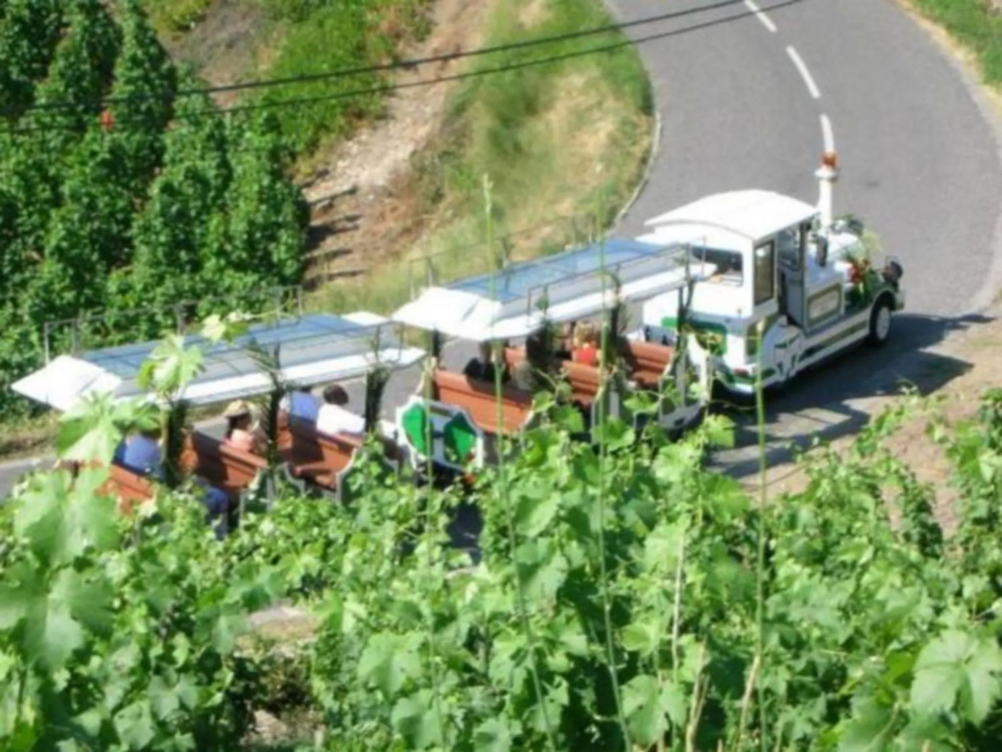 Entertainment in Hotel HECO Lyon sud Vienne