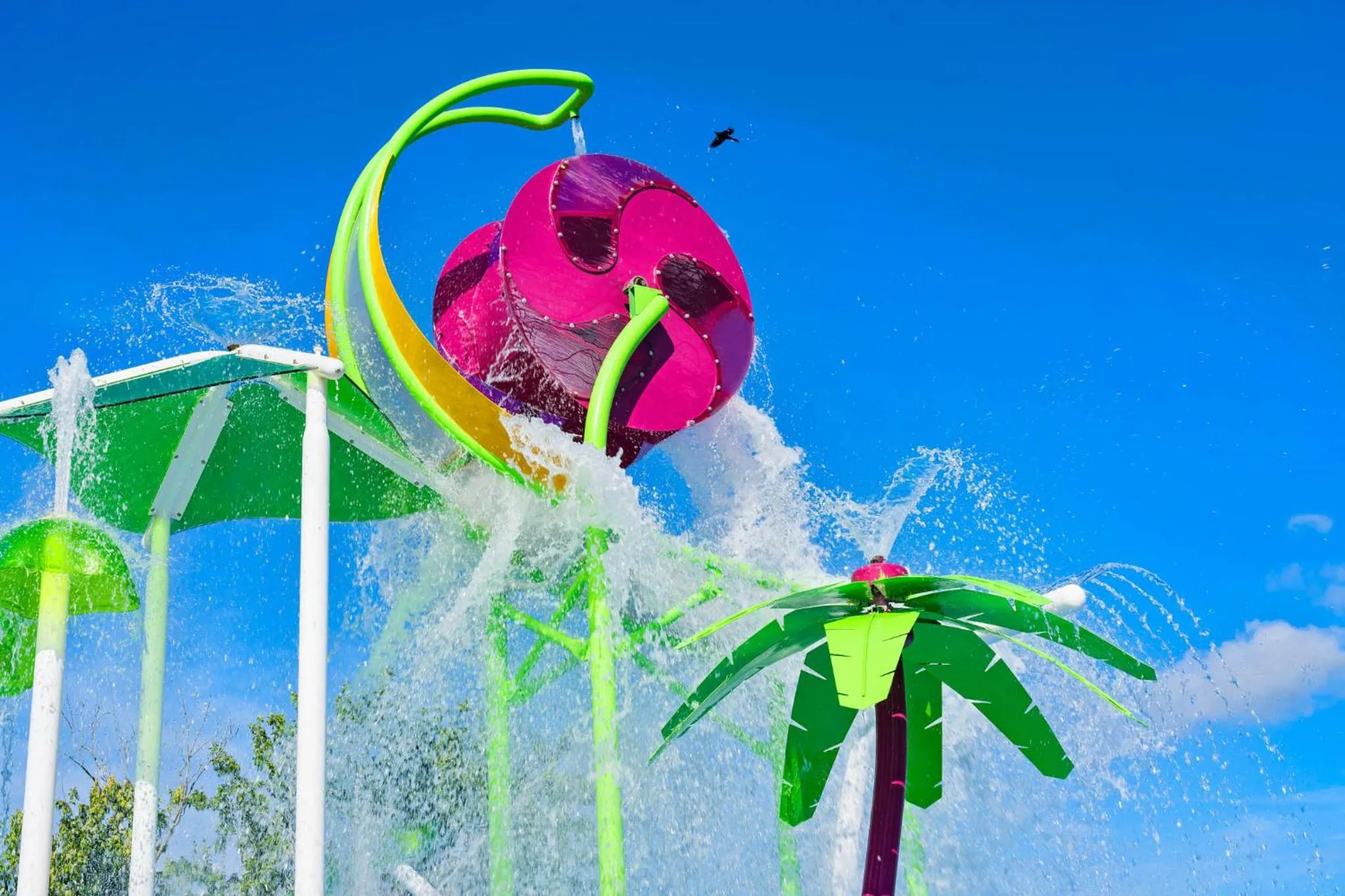 Aqua park in Flagstone Villa