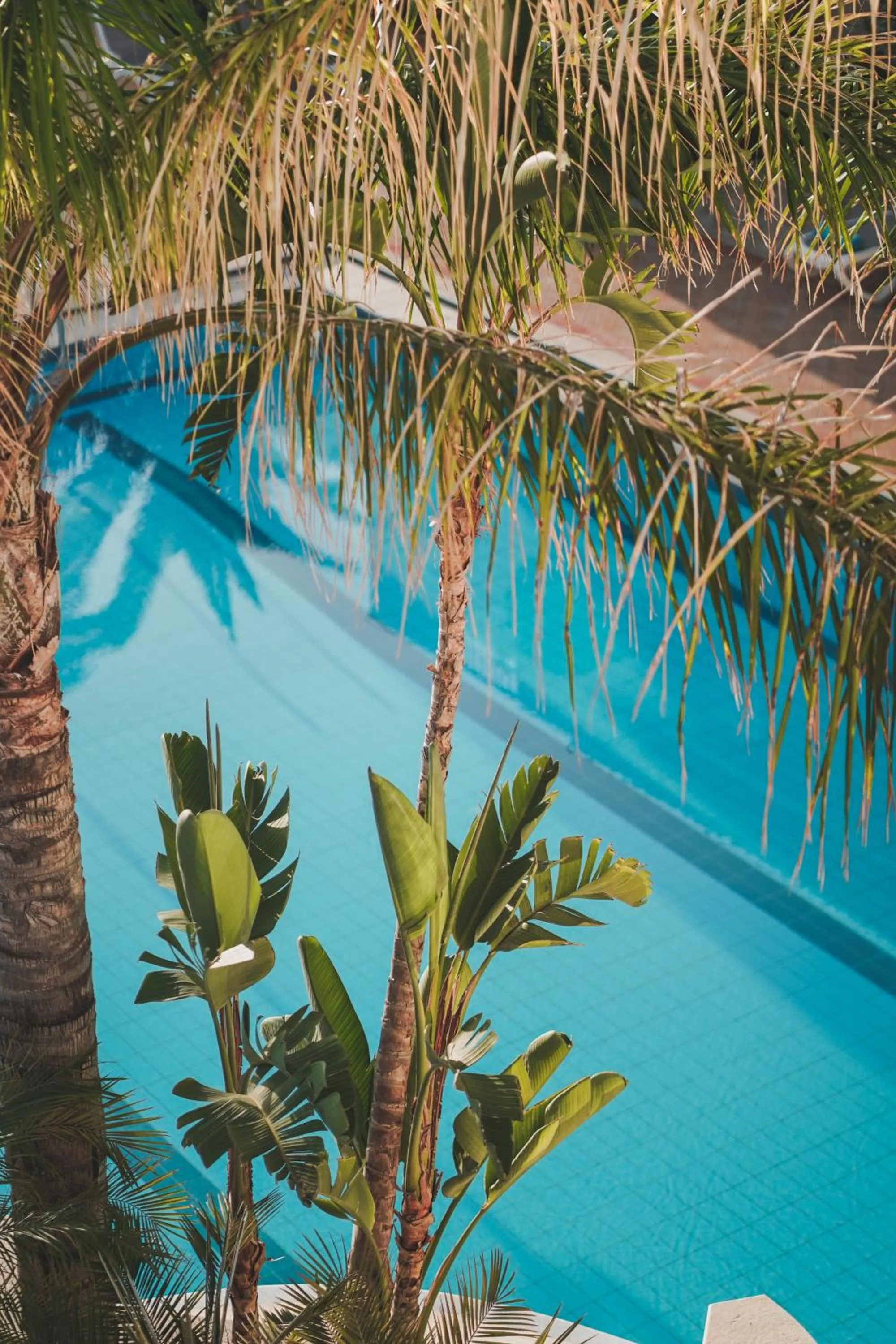 Swimming pool in Zeus Village Resort - Adults Only