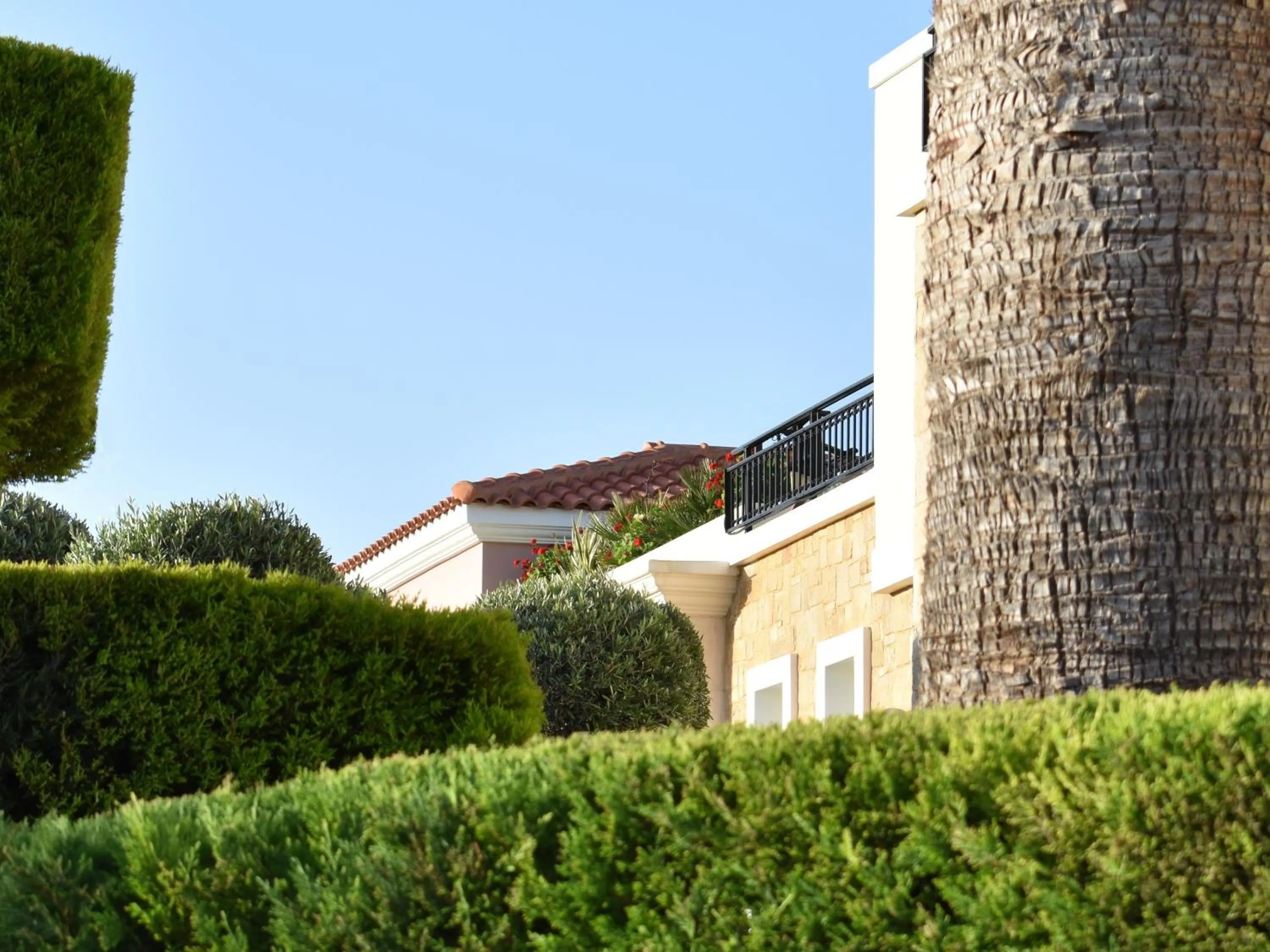 Day in Zeus Village Resort - Adults Only