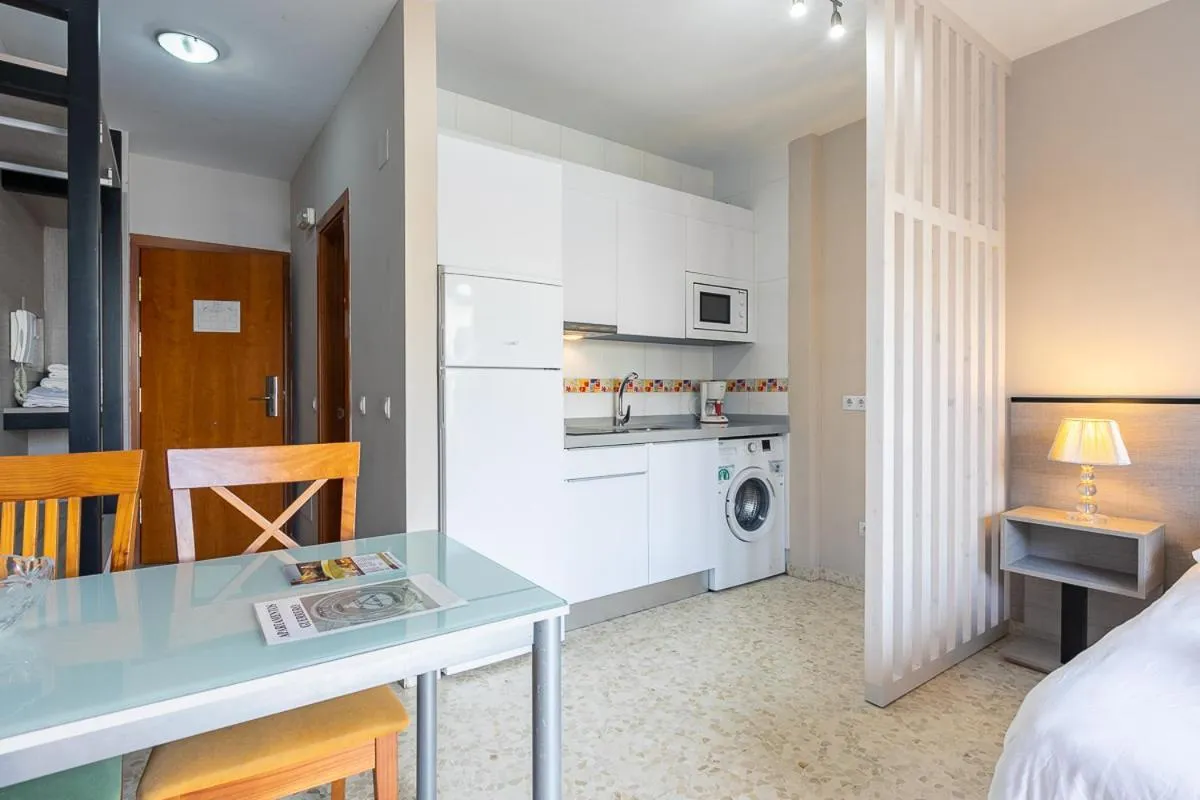 Kitchen or kitchenette in Apartamentos Guerrero