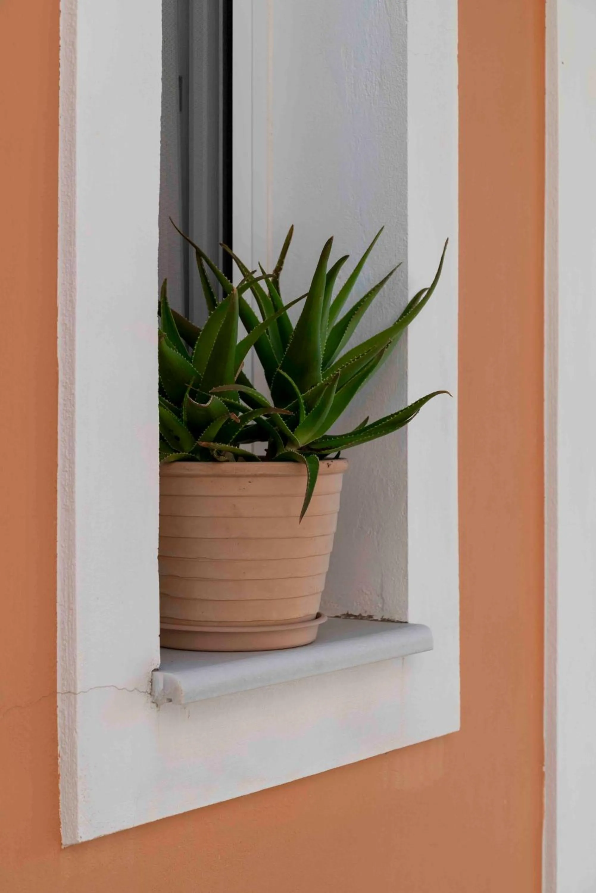 Decorative detail in San Lazzaro