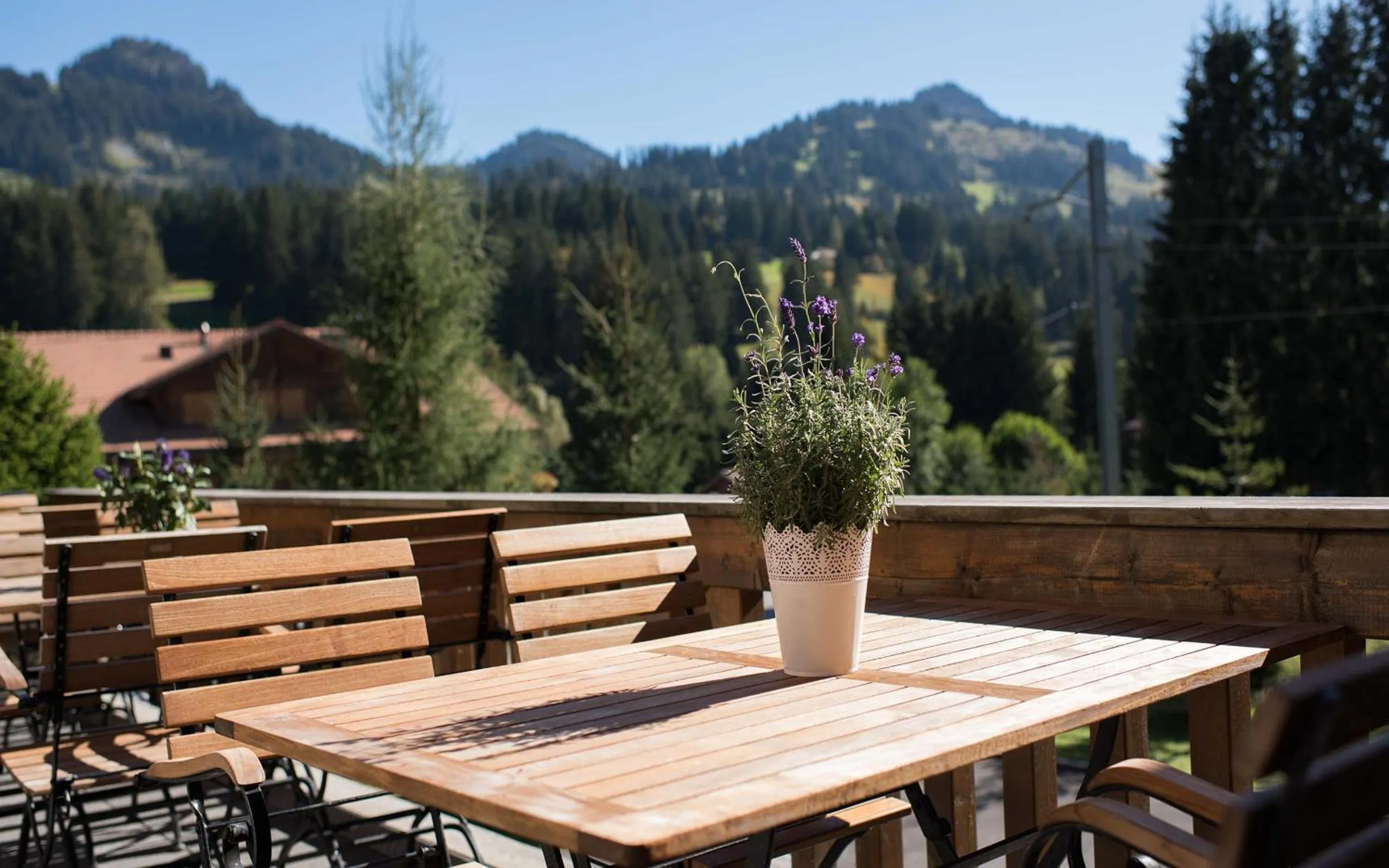 Balcony/Terrace in Hotel des Alpes Superieur