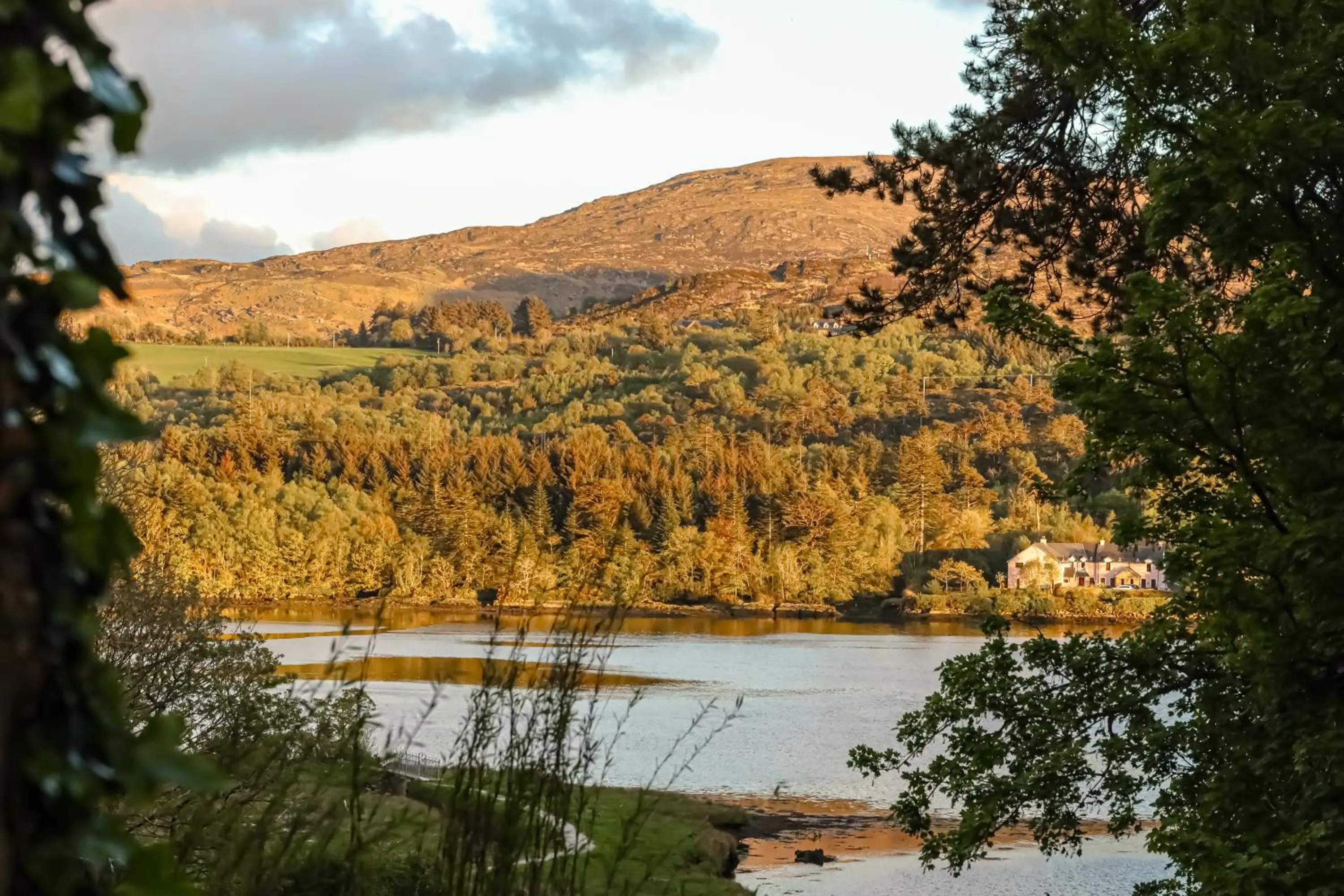 Mountain view in Park Hotel Kenmare