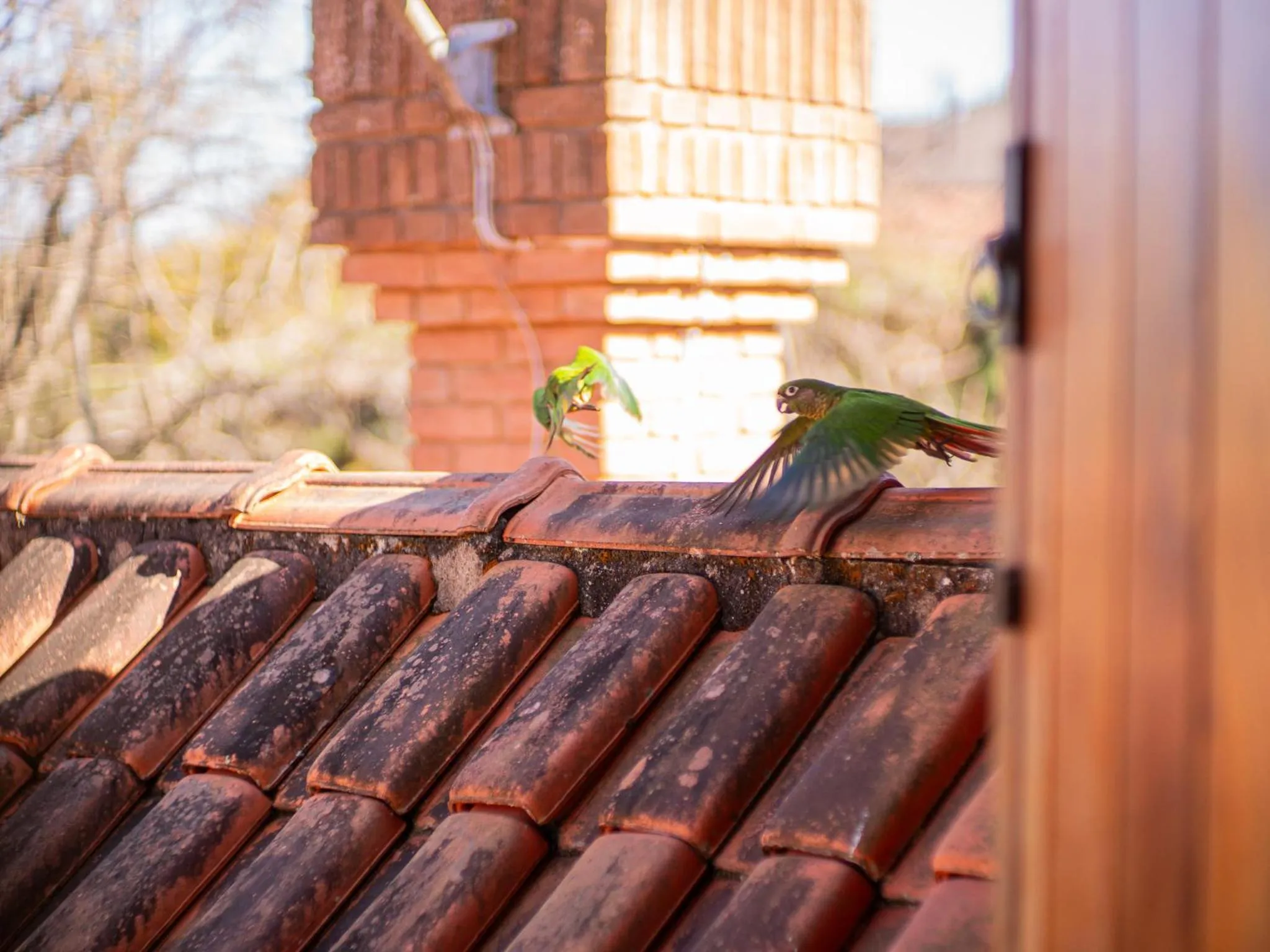 View (from property/room) in Pousada Suiça Mineira Centro