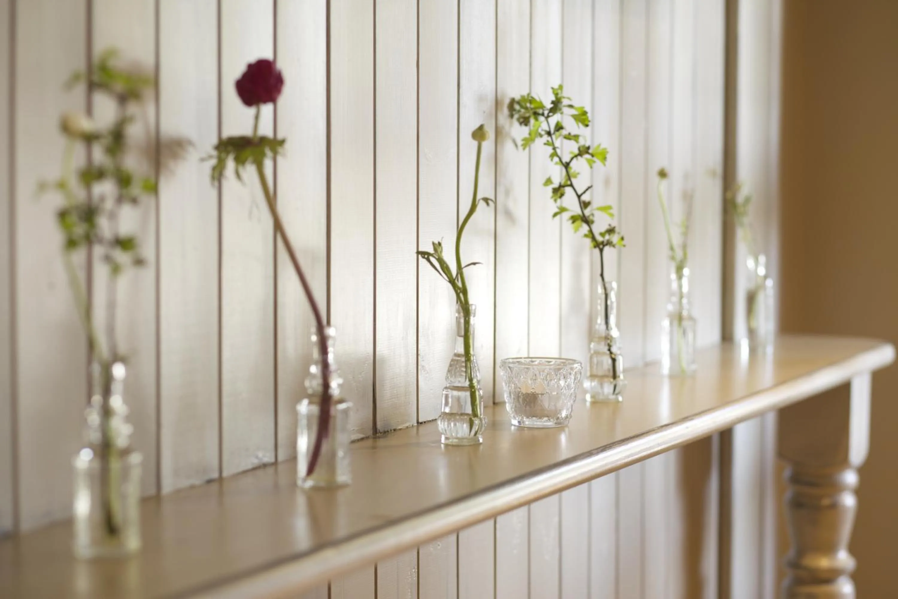 Decorative detail in Crab & Boar