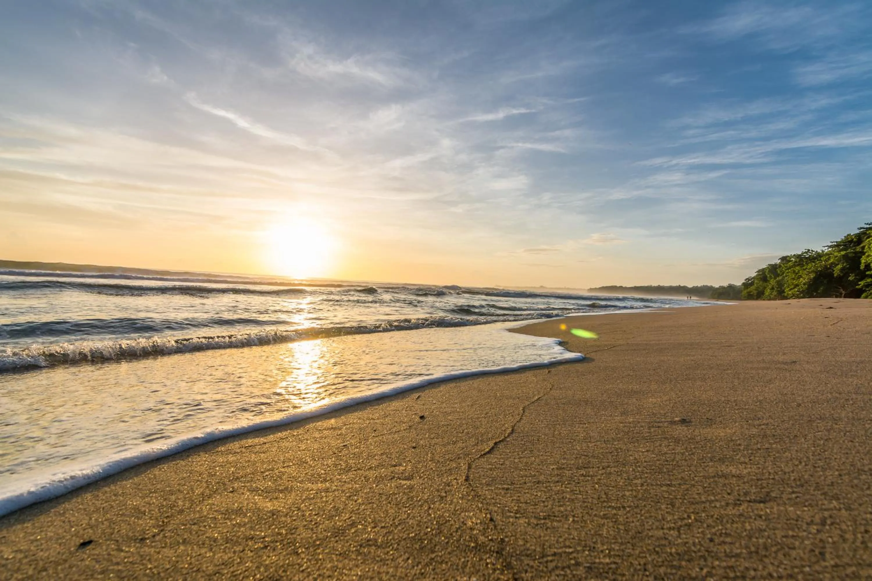 Natural landscape in Cariblue Beach and Jungle Resort