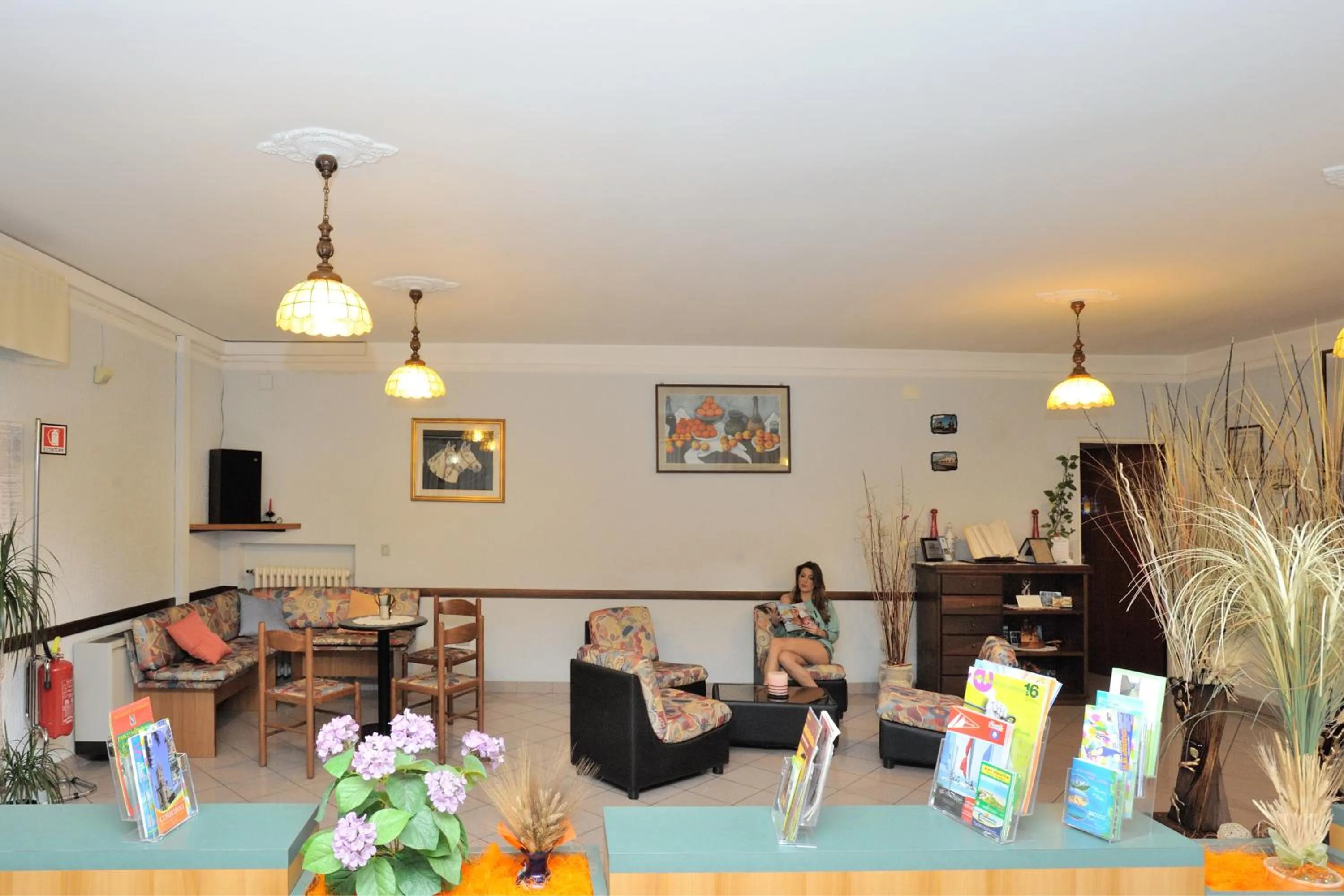 Communal lounge/ TV room in Hotel Lidia