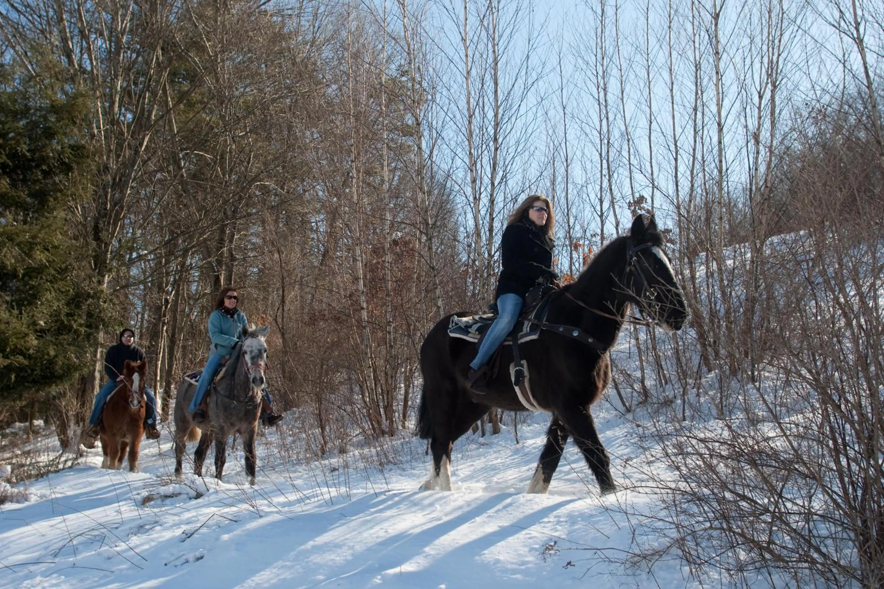 Horse-riding in Pocono Mountain Villas by Exploria Resorts