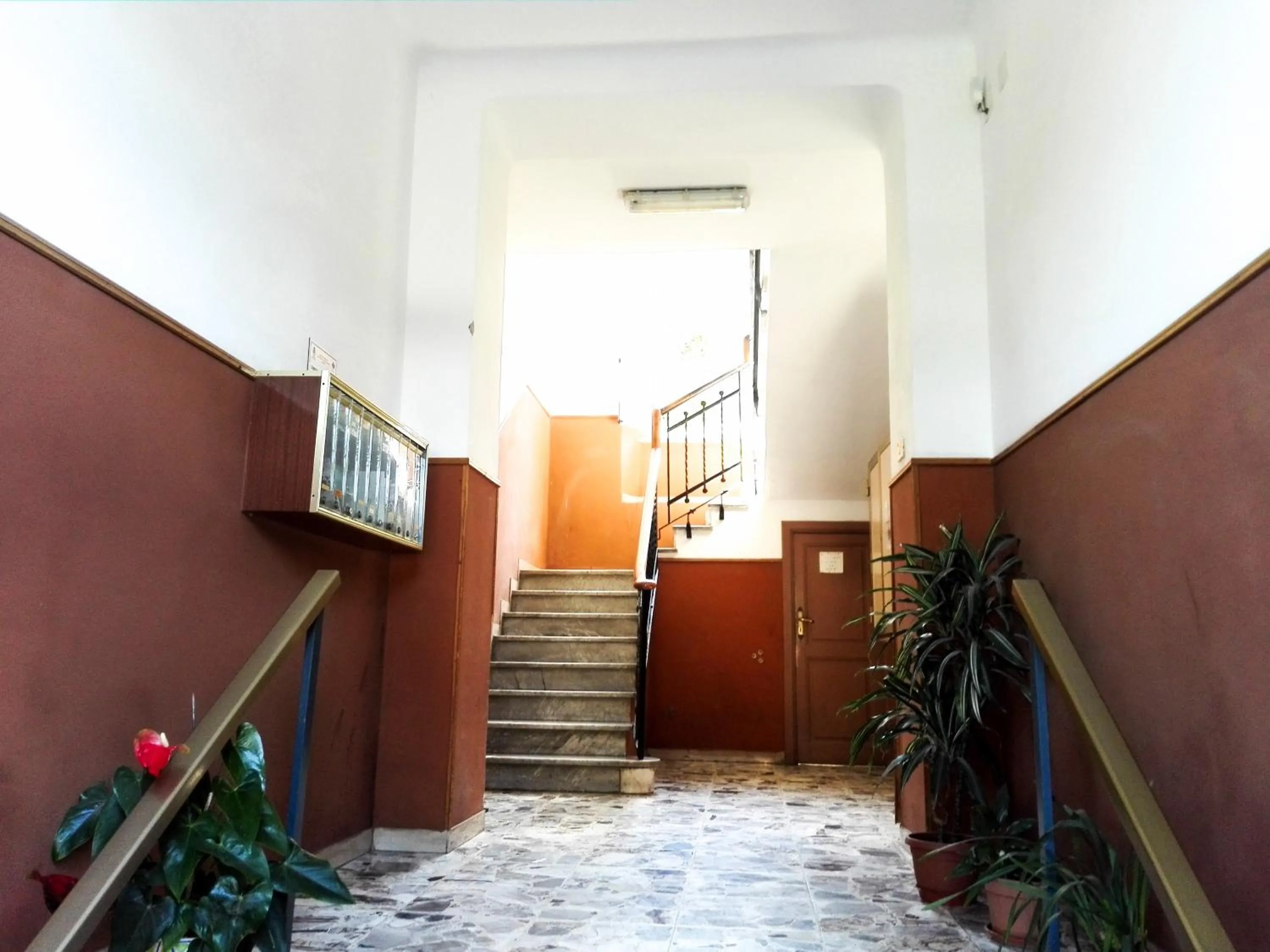 Le Stelle di Martina- Affittacamere -