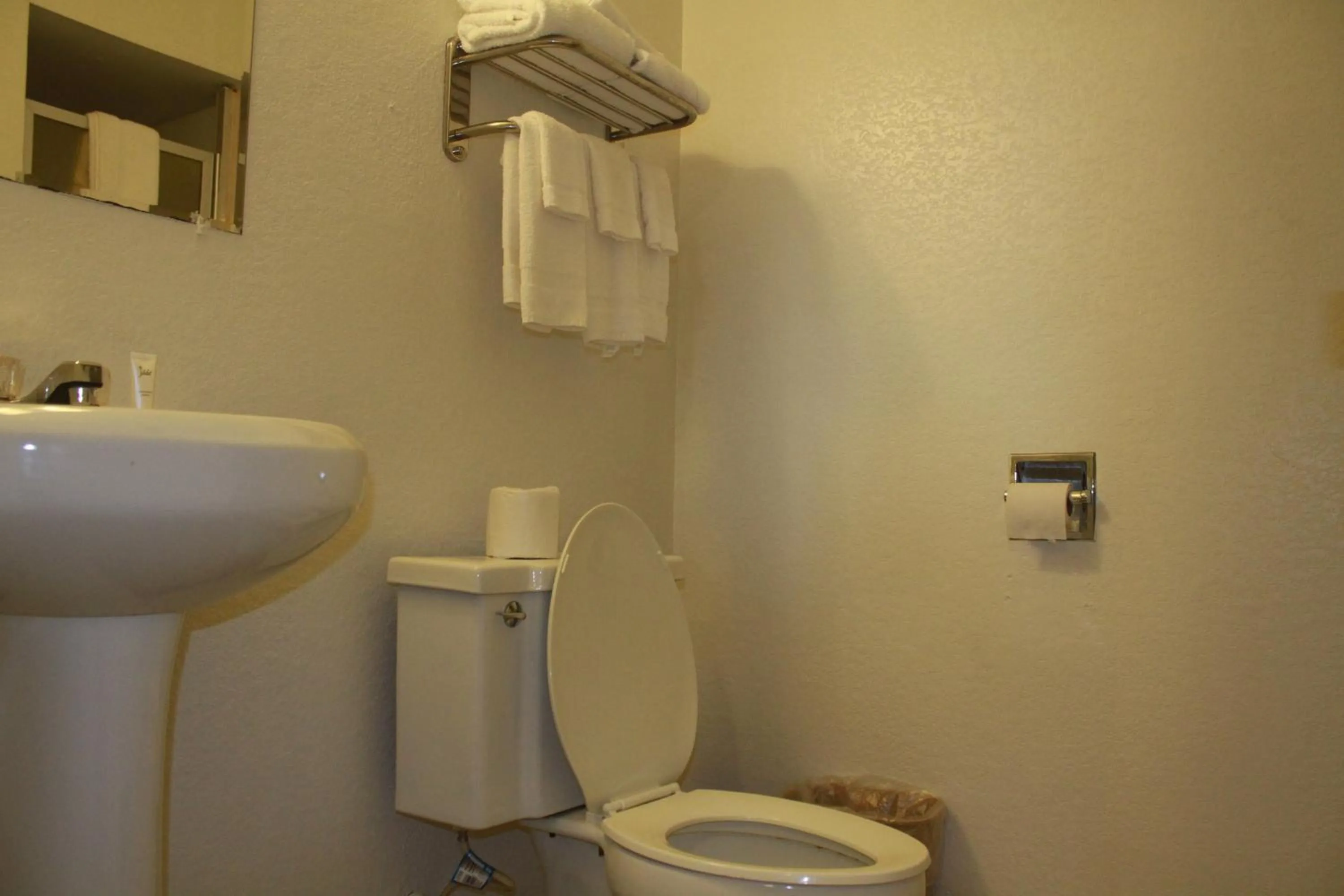 Bathroom in Royal Inn