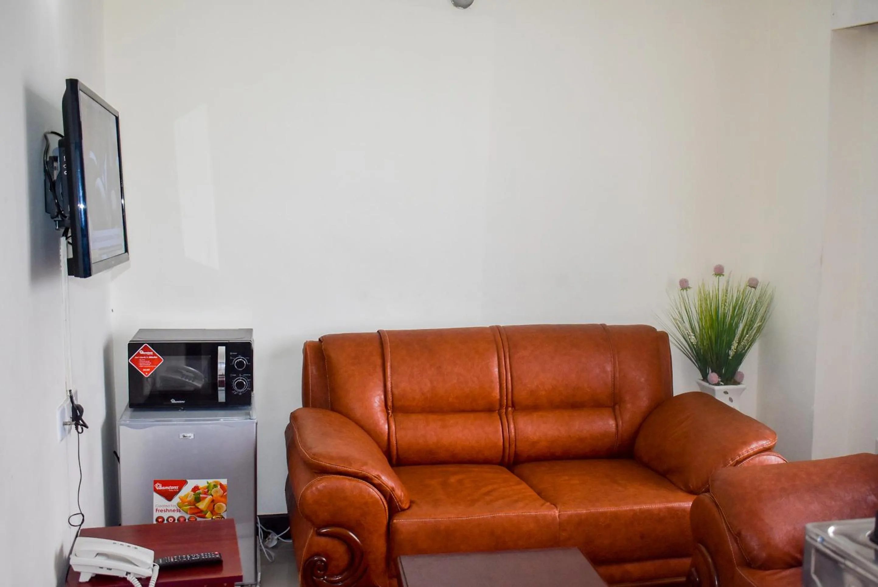 TV and multimedia in Sheratton Regency Hotel