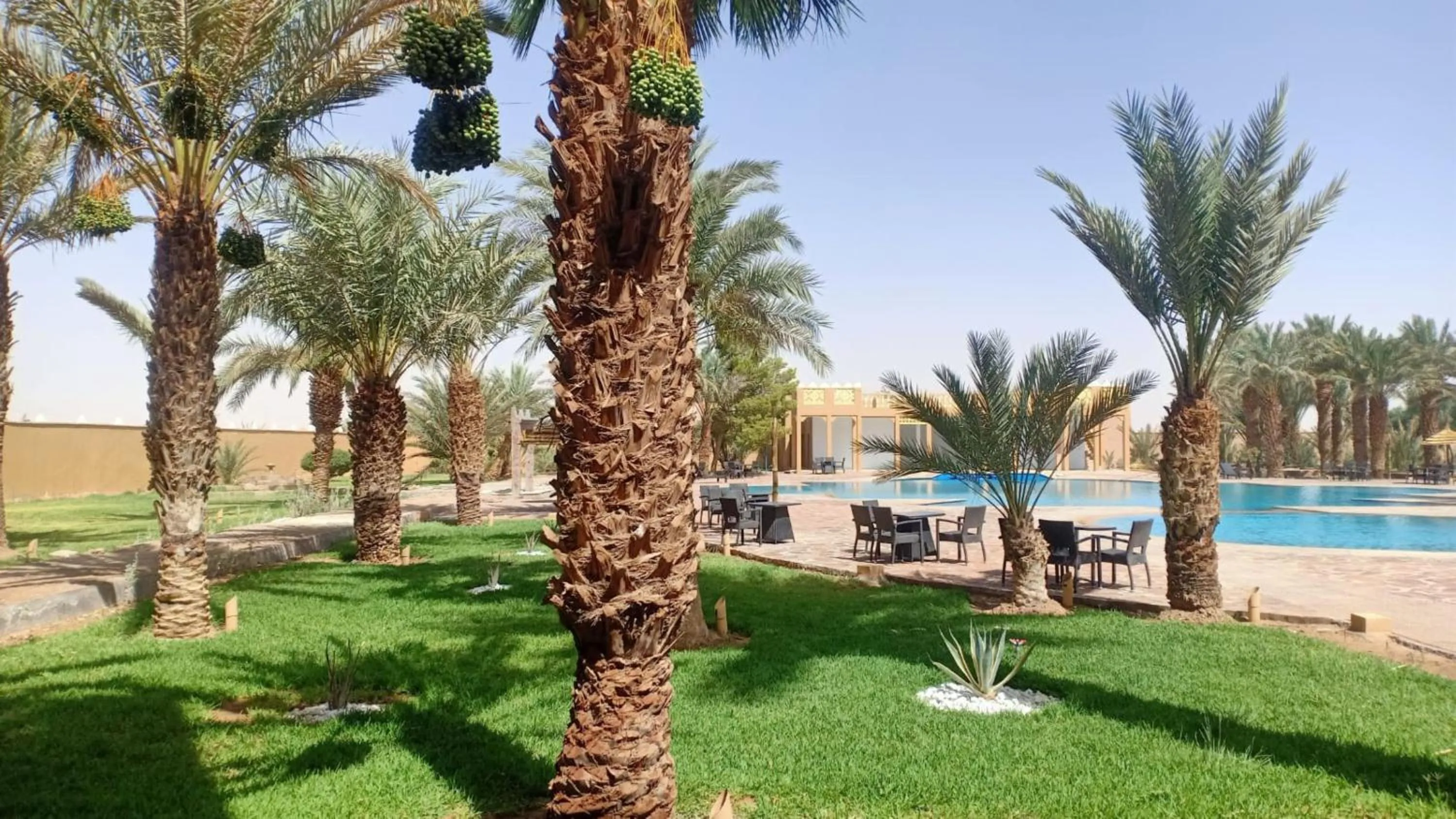 Garden in Erfoud Palace