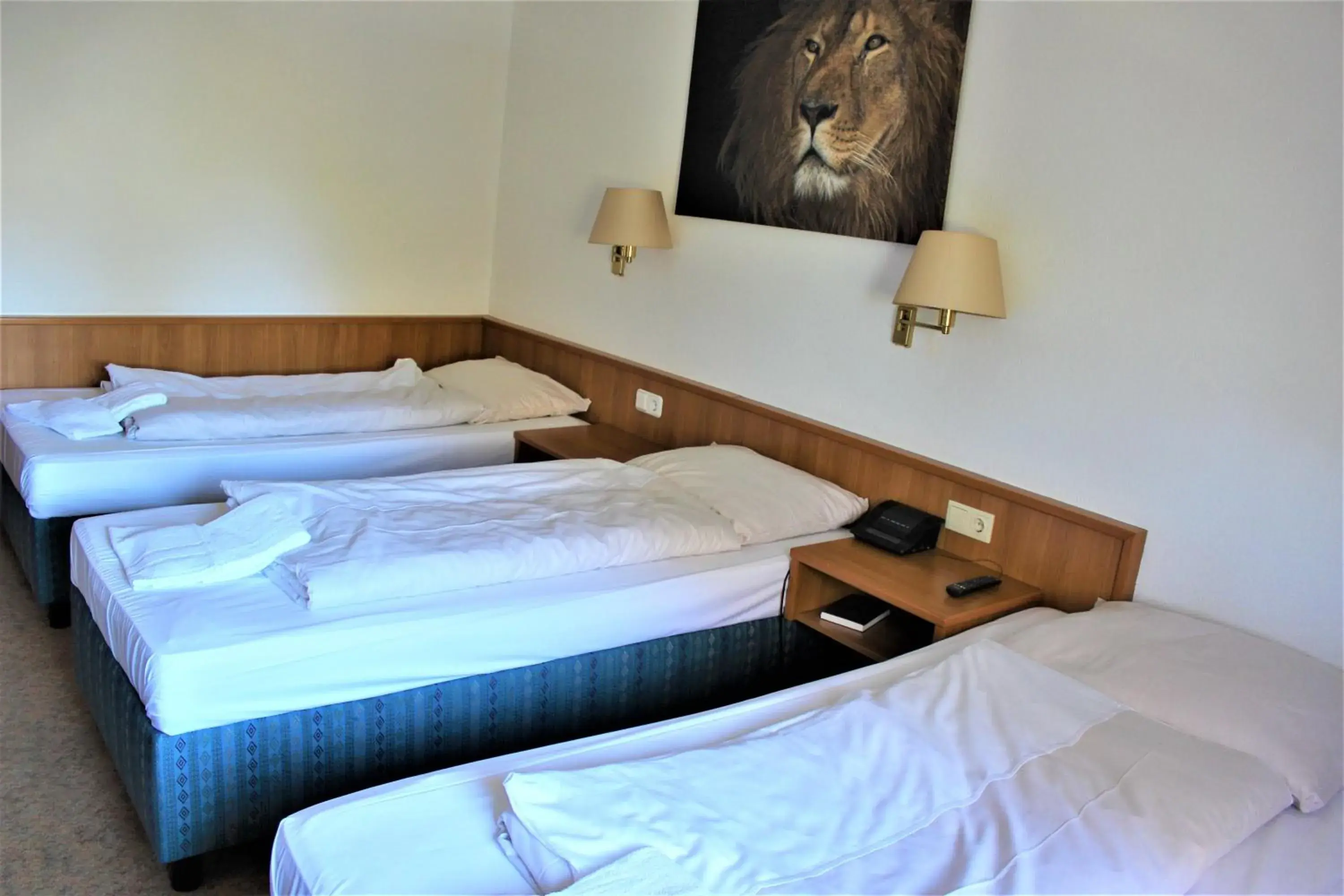 Comfort Triple Room in Hotel Alsterquelle Comfort Triple Room in Hotel Alsterquelle