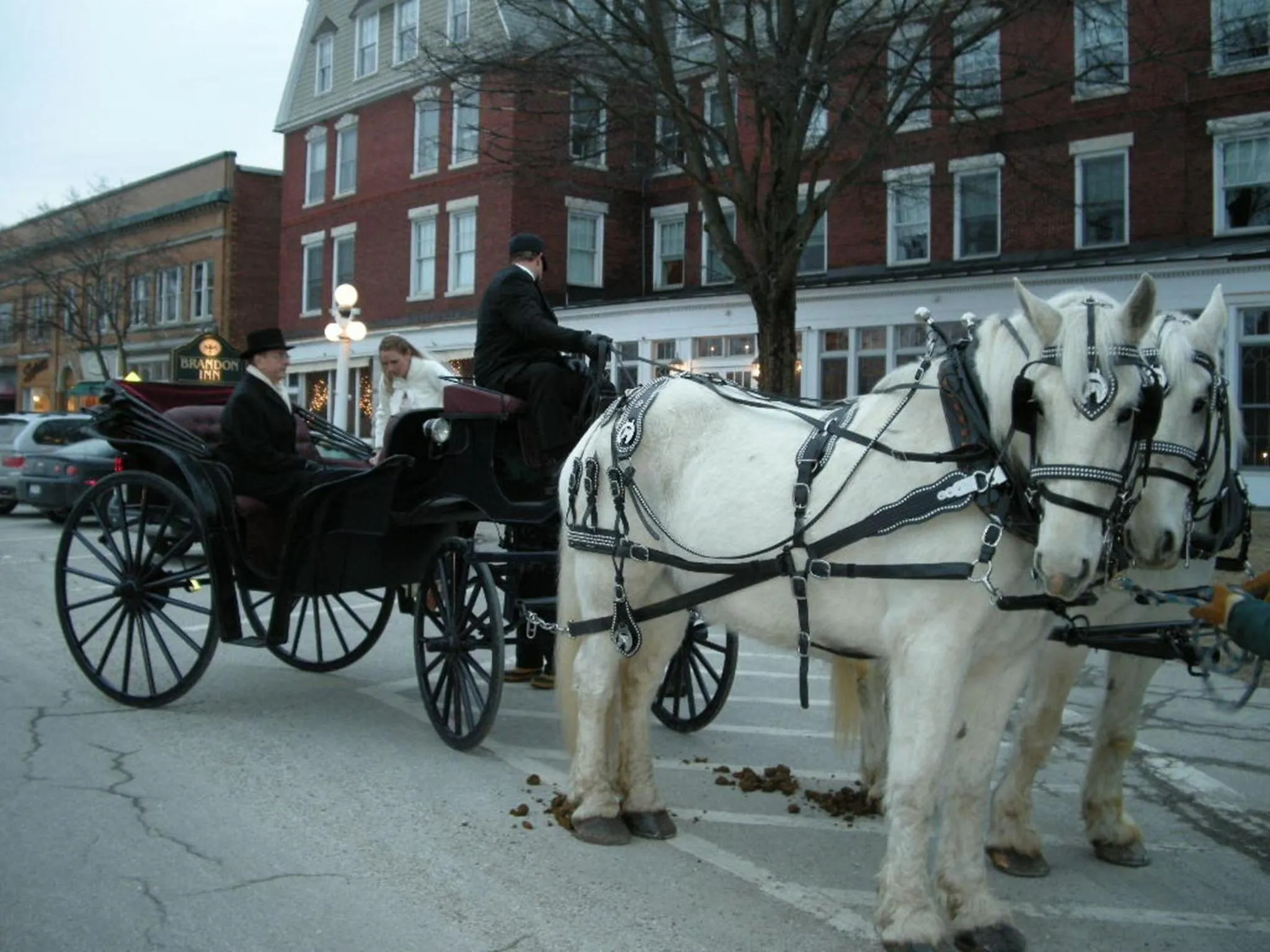 View (from property/room) in The Brandon Inn