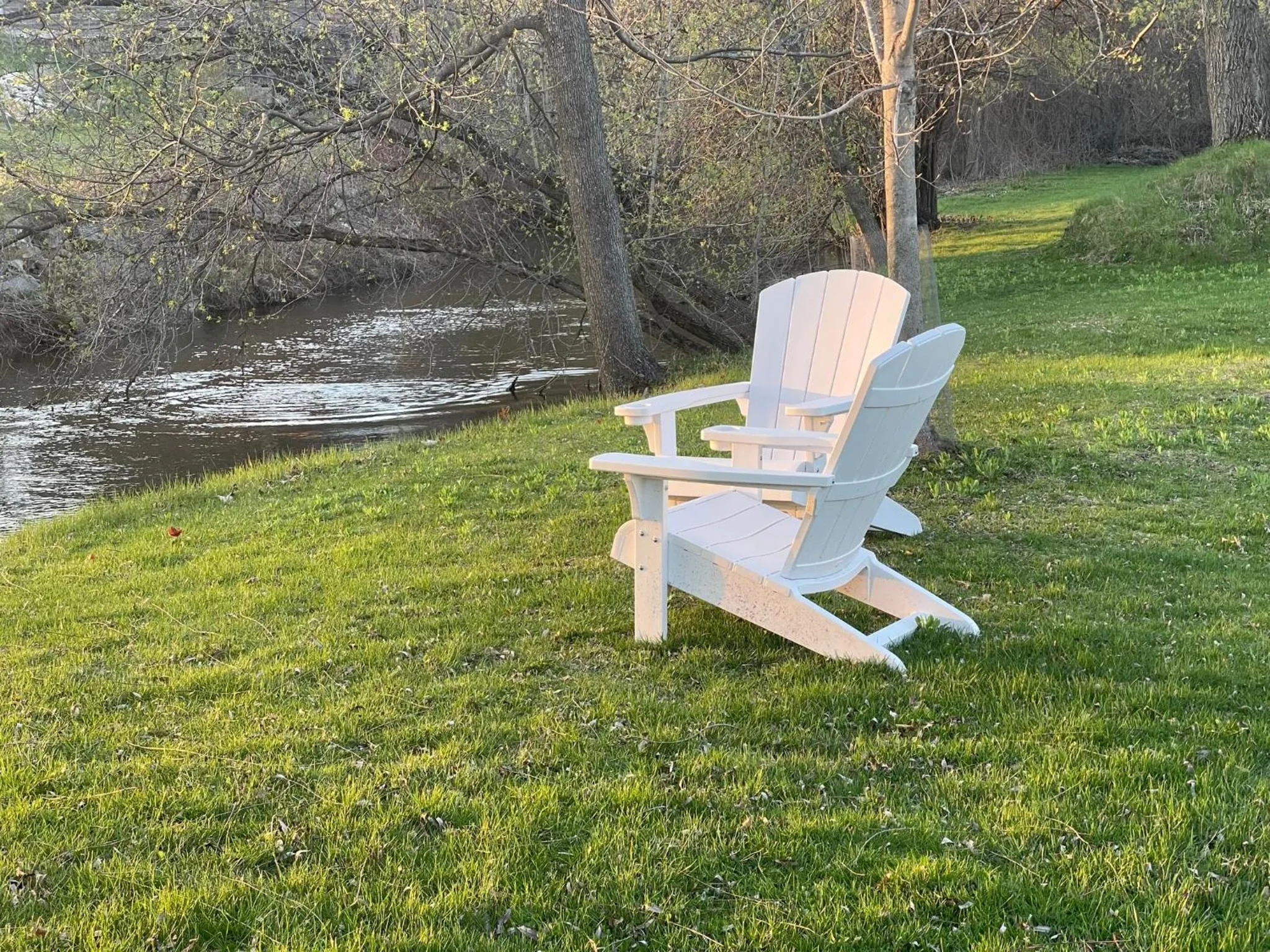 Garden view in The Brandon Inn