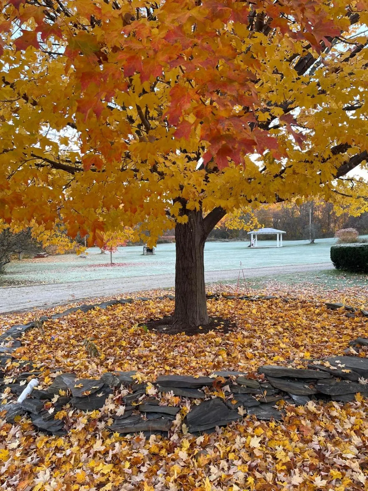 Garden in The Brandon Inn
