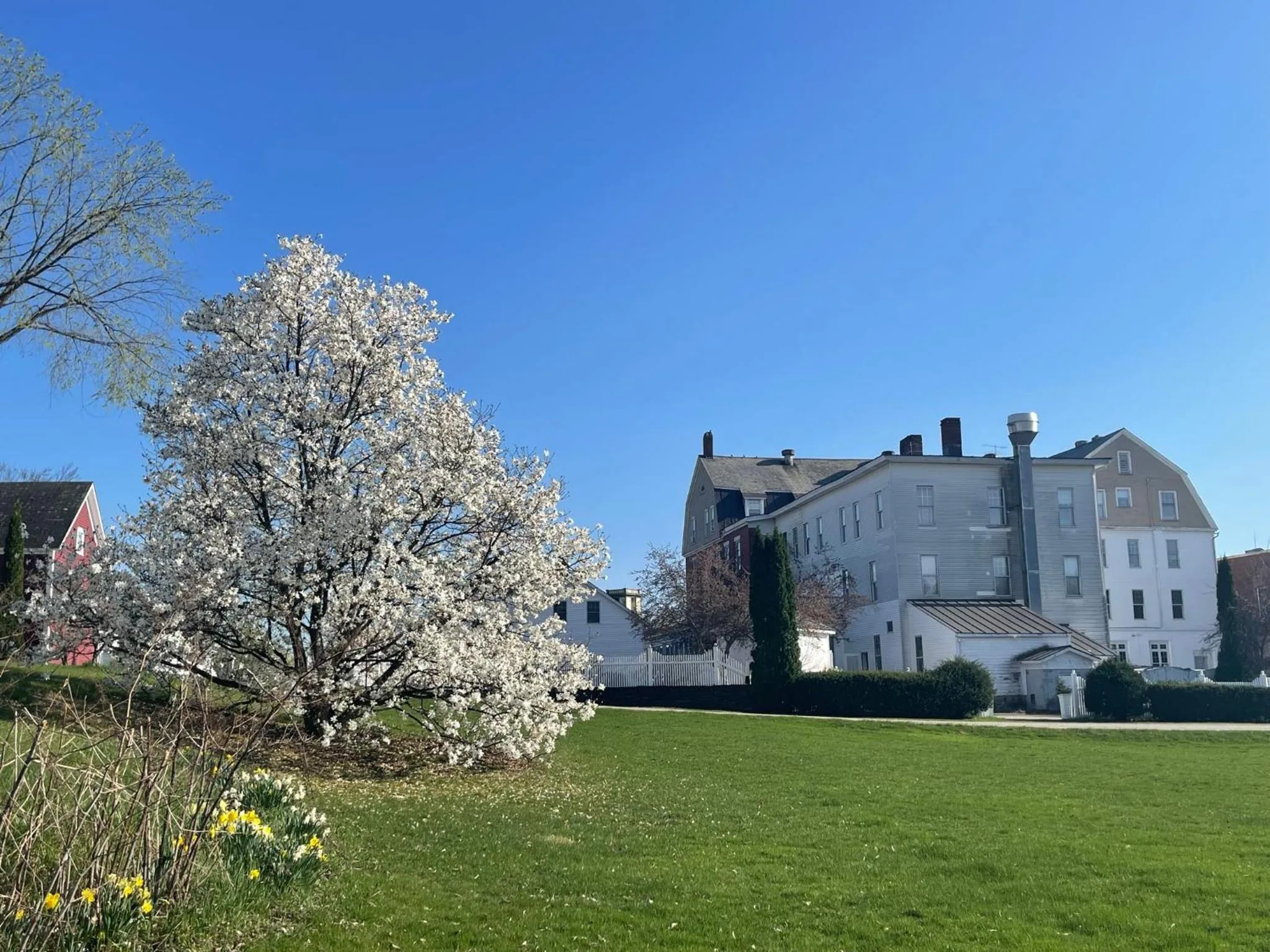 Garden in The Brandon Inn