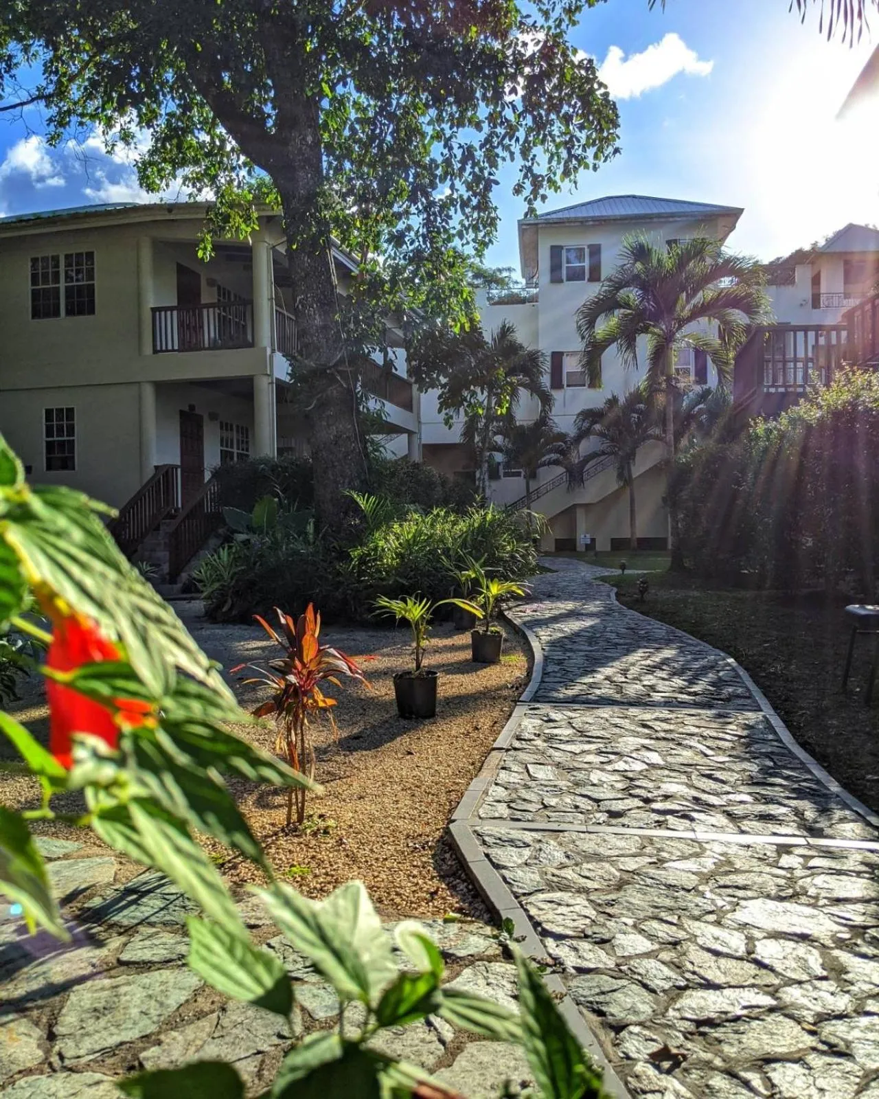 Garden in Black Orchid Resort