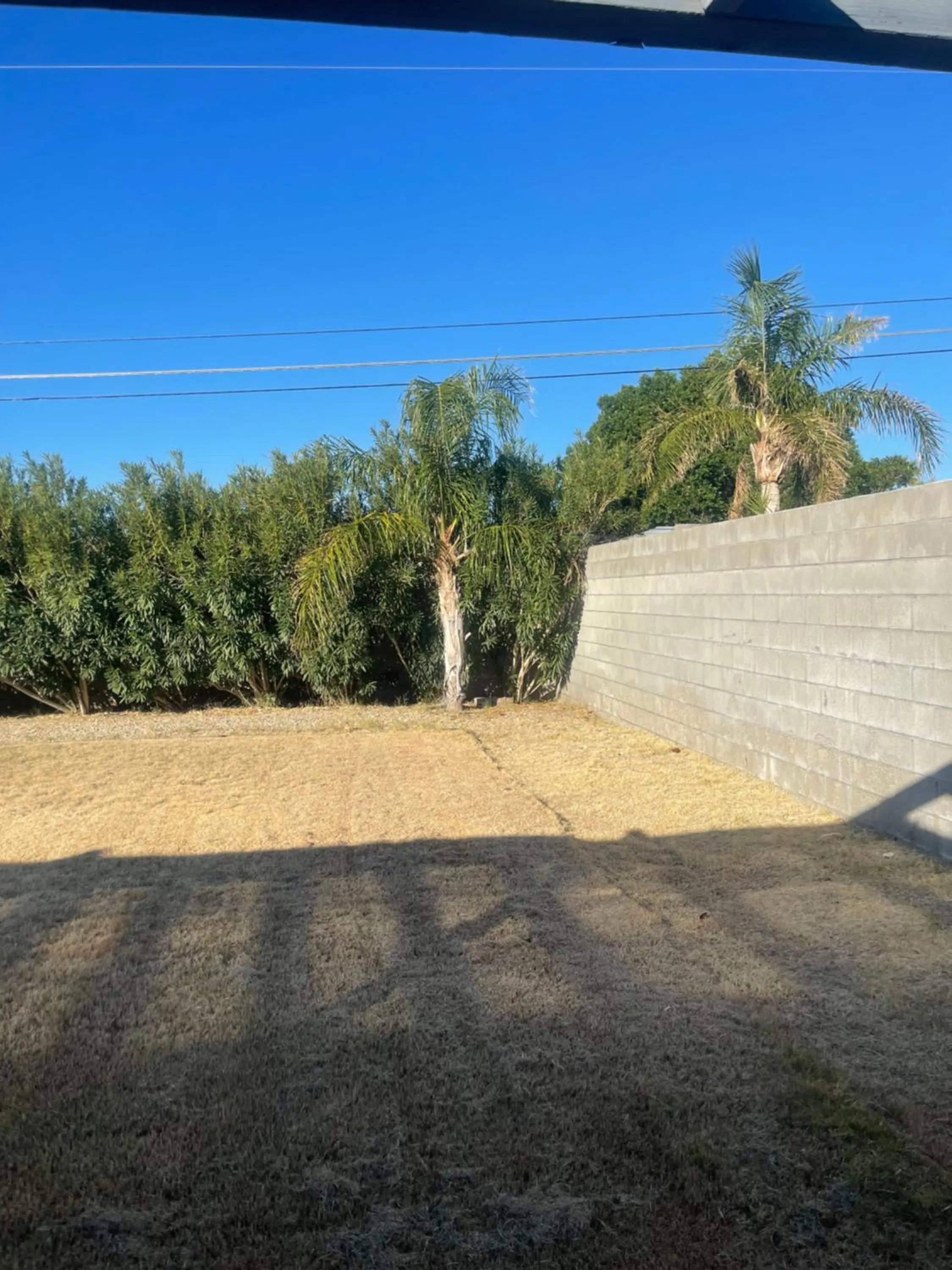 Miracle Springs Resort and Spa