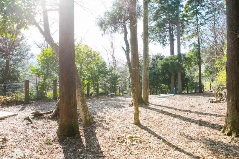 Sundance Resort Hakone Miyagino