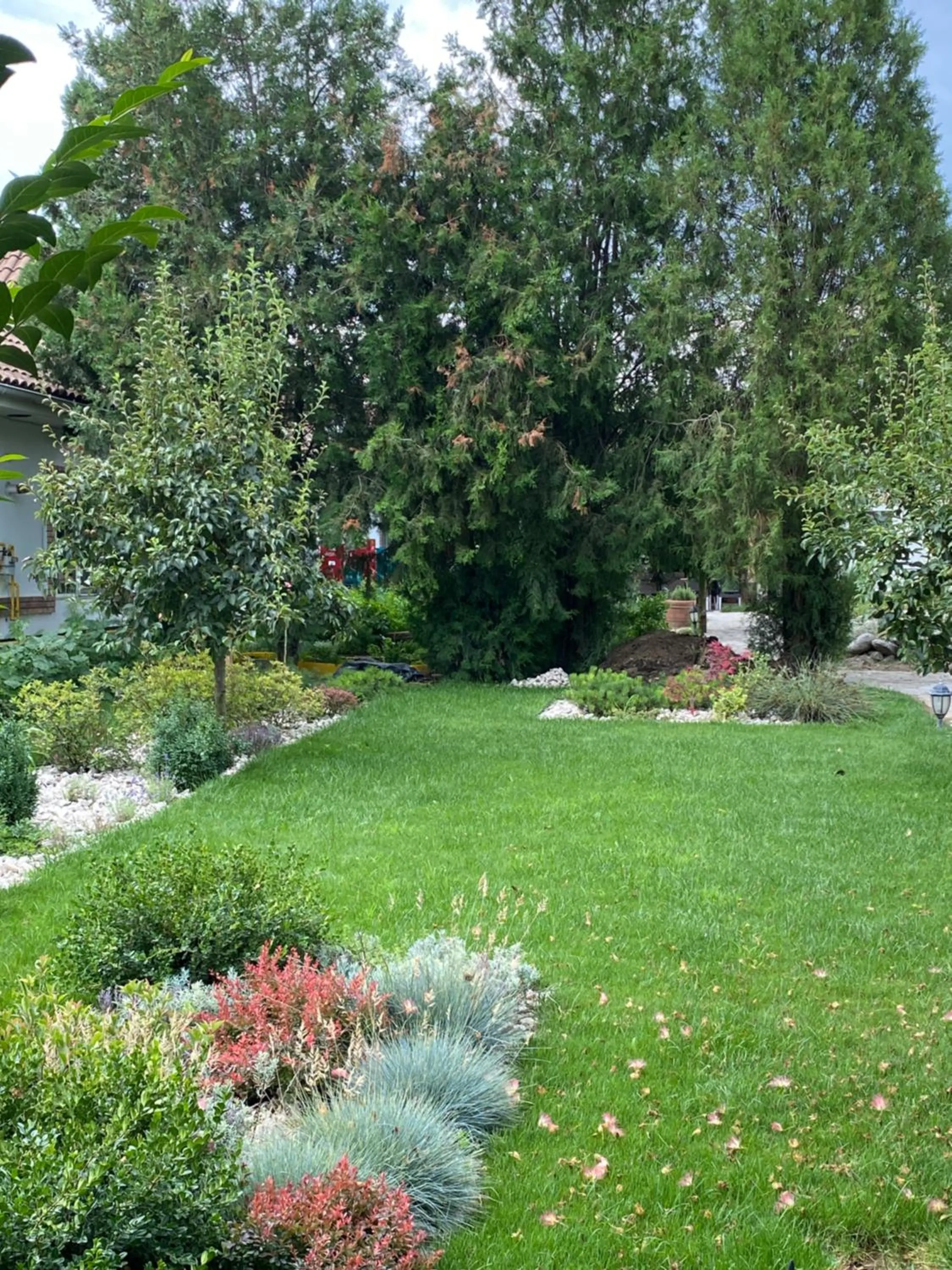 Garden in Country Club La Mesteceni