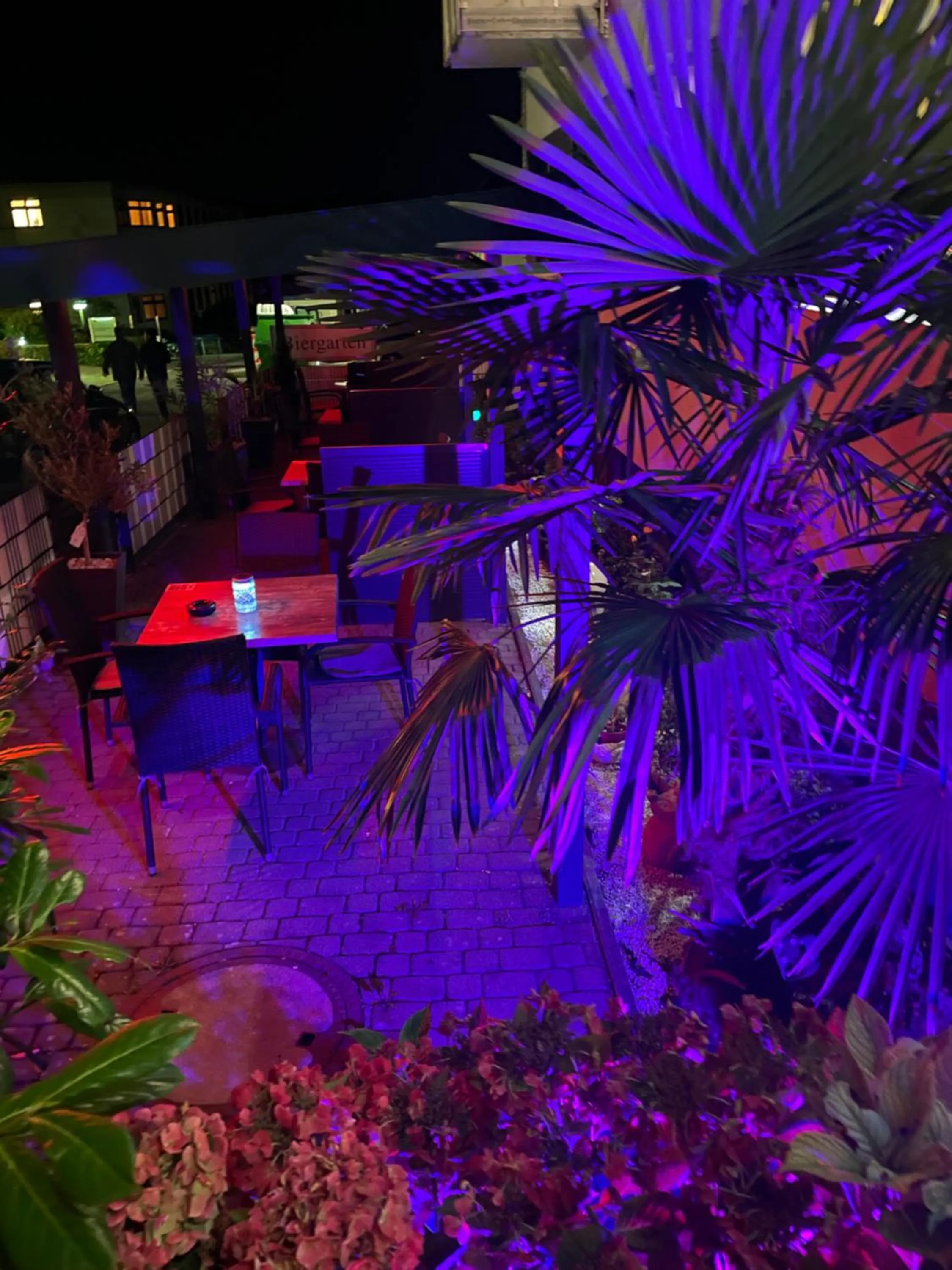 Night in Hotel Royal