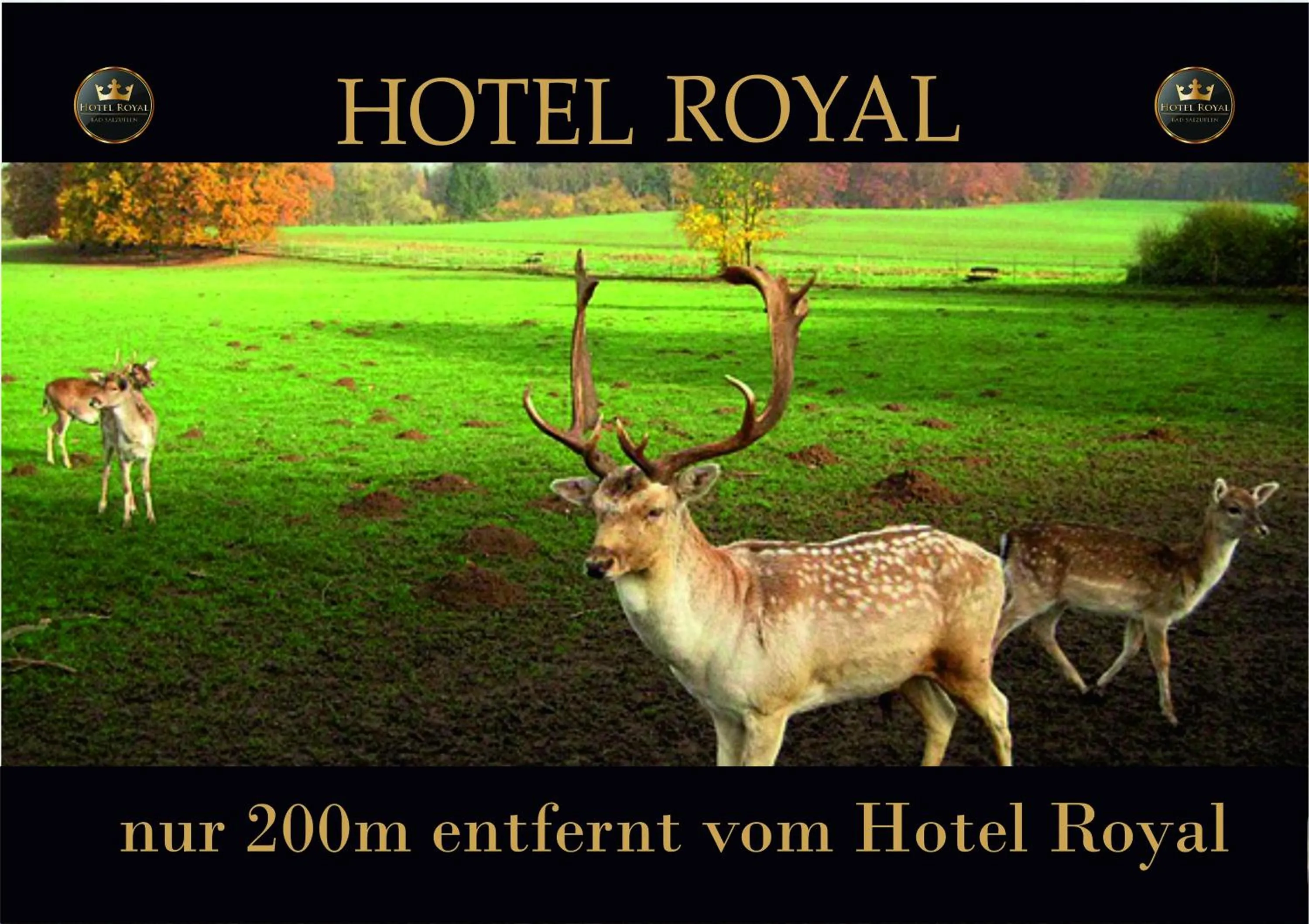 Other in Hotel Royal