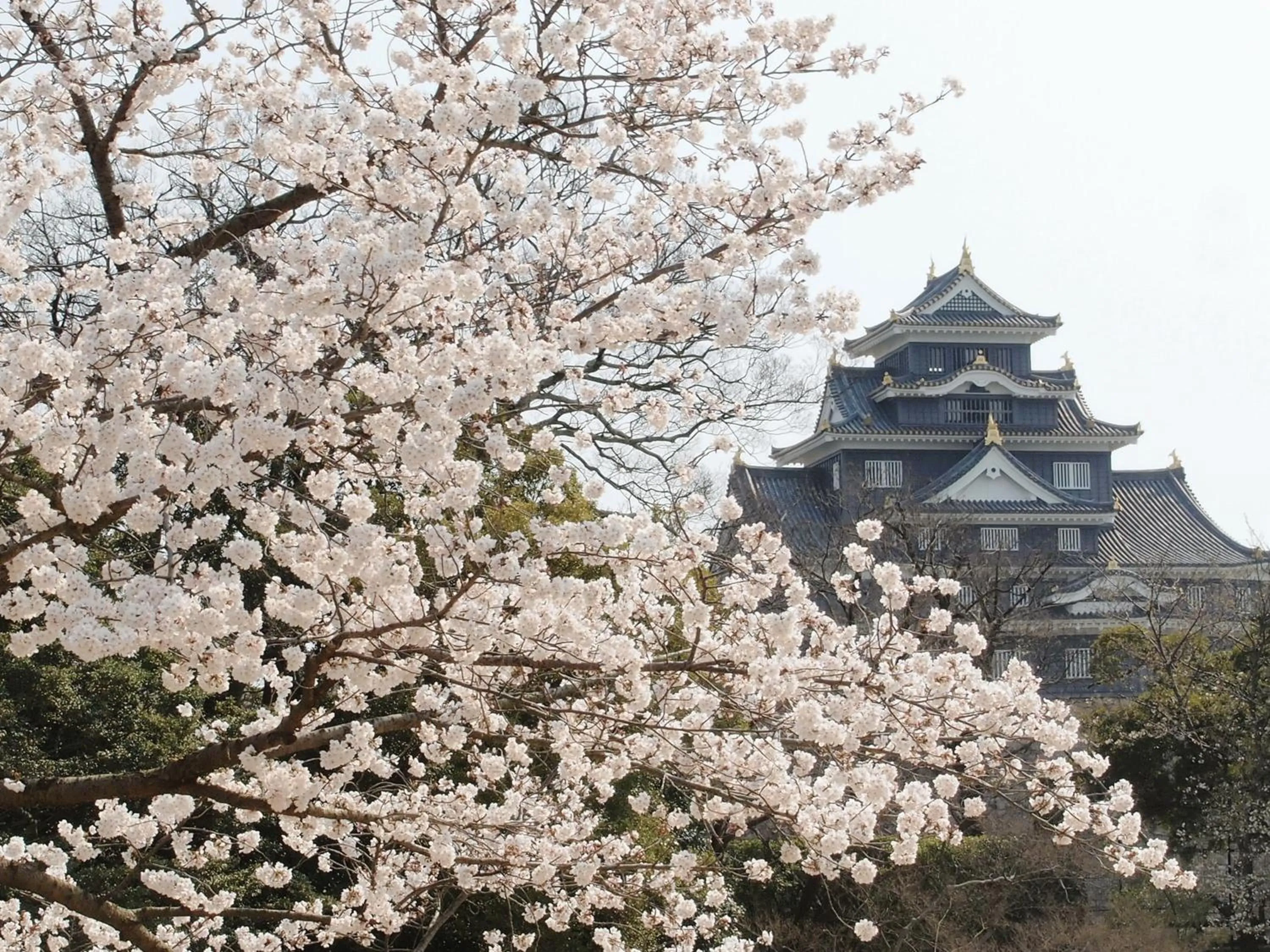 Nearby landmark in APA Hotel Kurashiki Ekimae