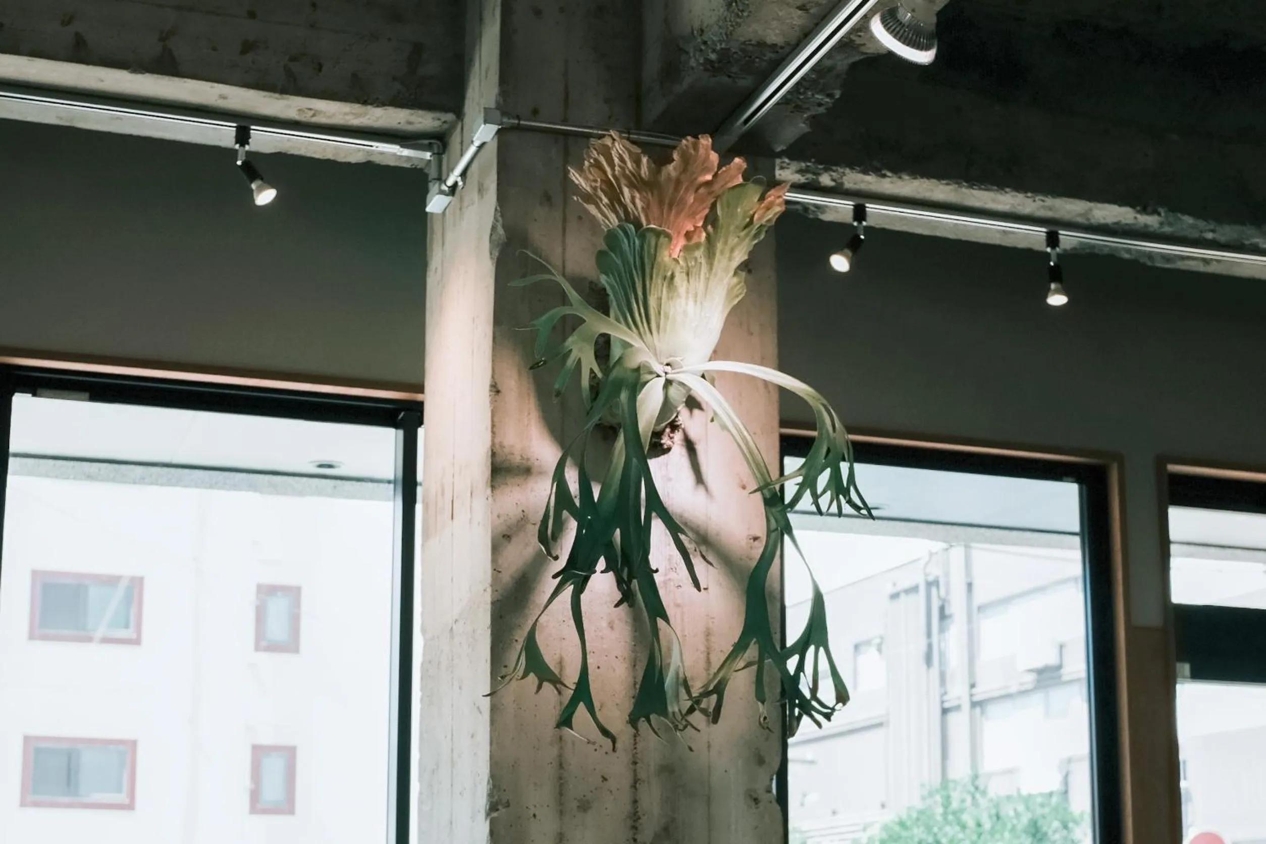 Guesthouse Sunline Beppu