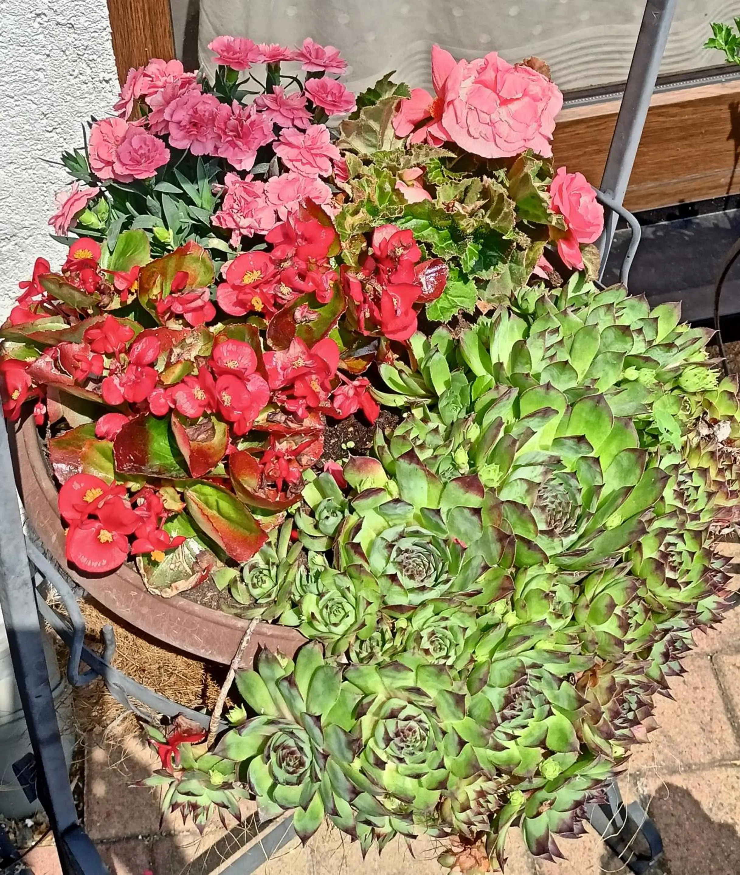 Garden view in Pension Dreiländereck