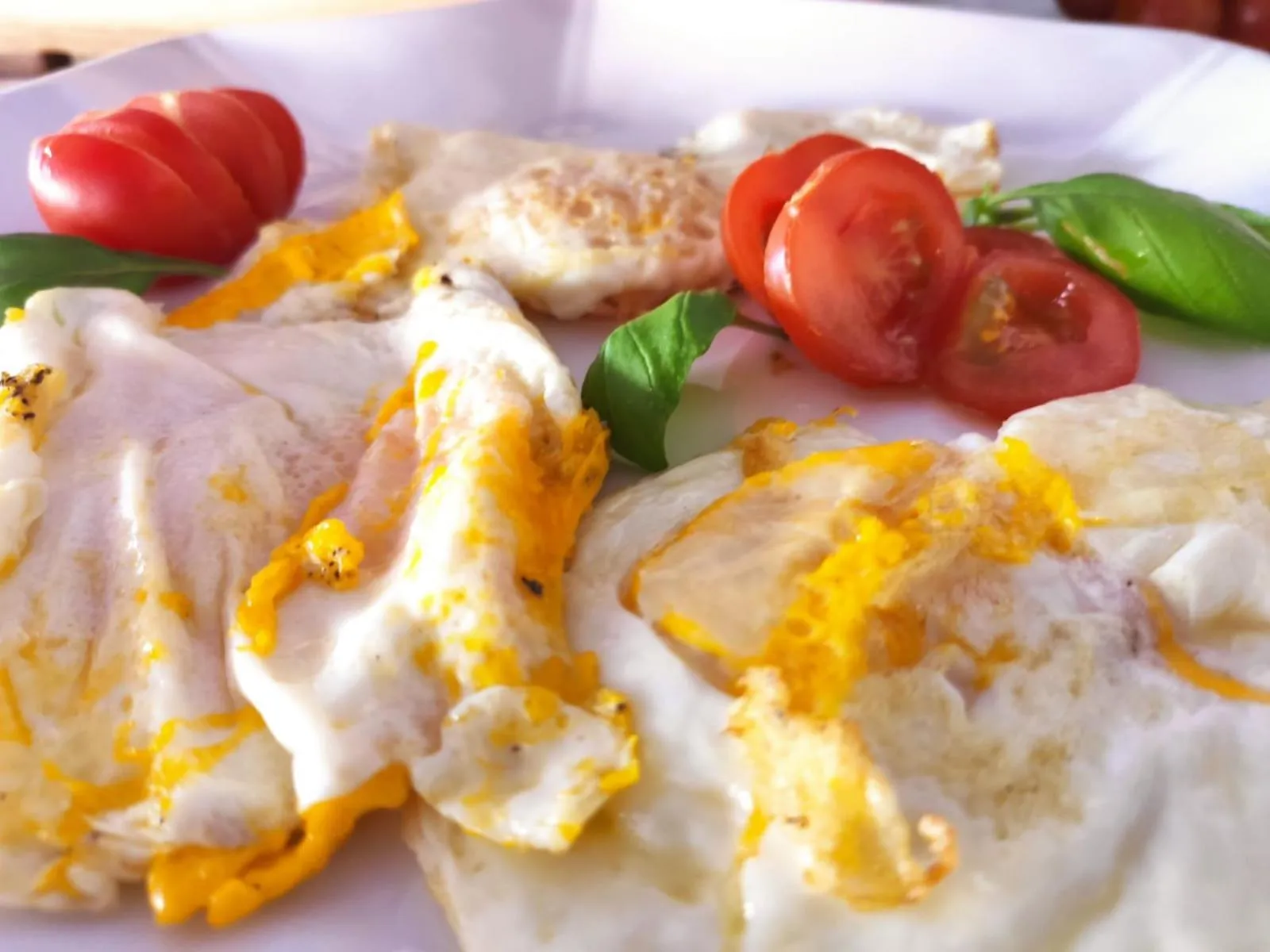 Food in Hotel Senior