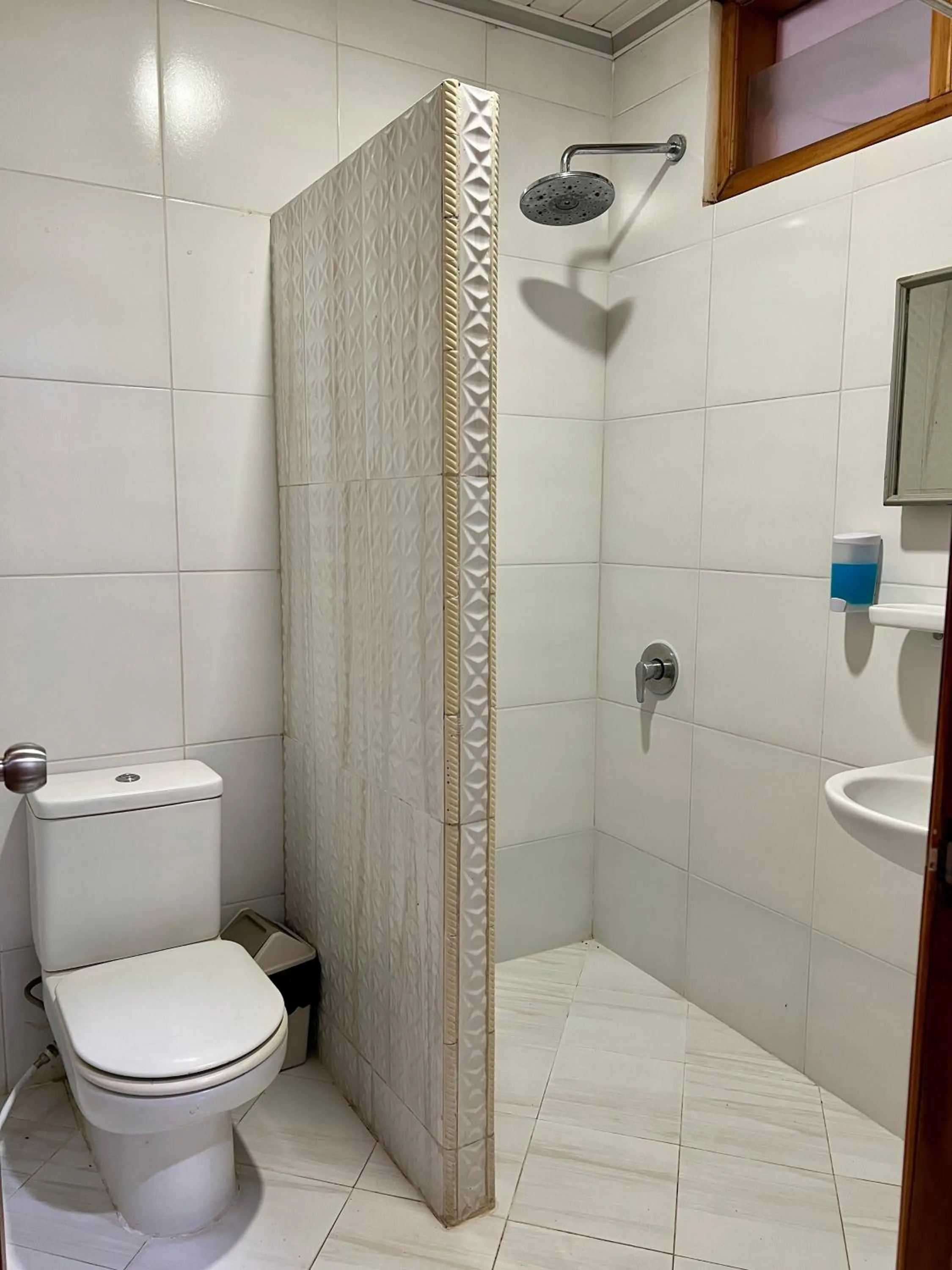 Shower in Aurora Hotel Siliwangi