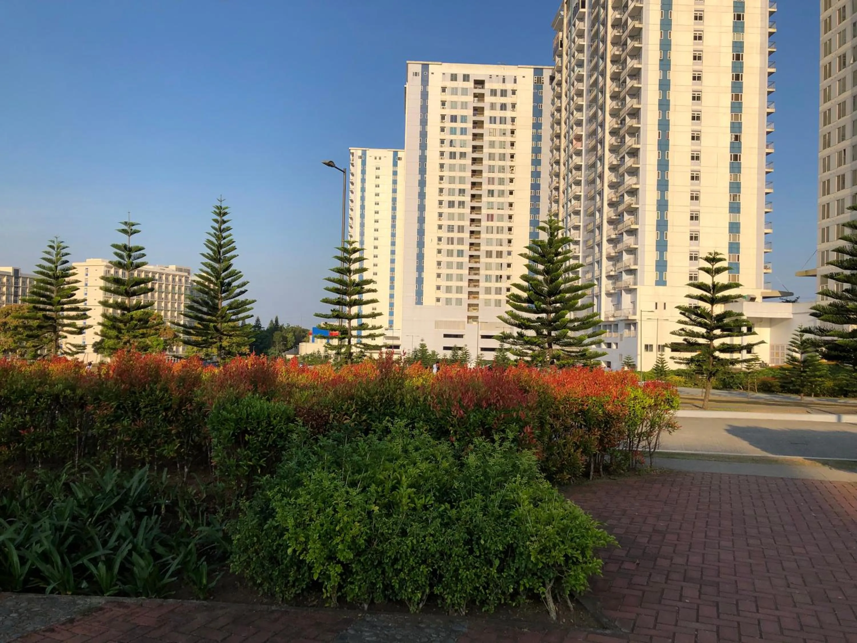 Property building in SMDC Cool Jane's Condo