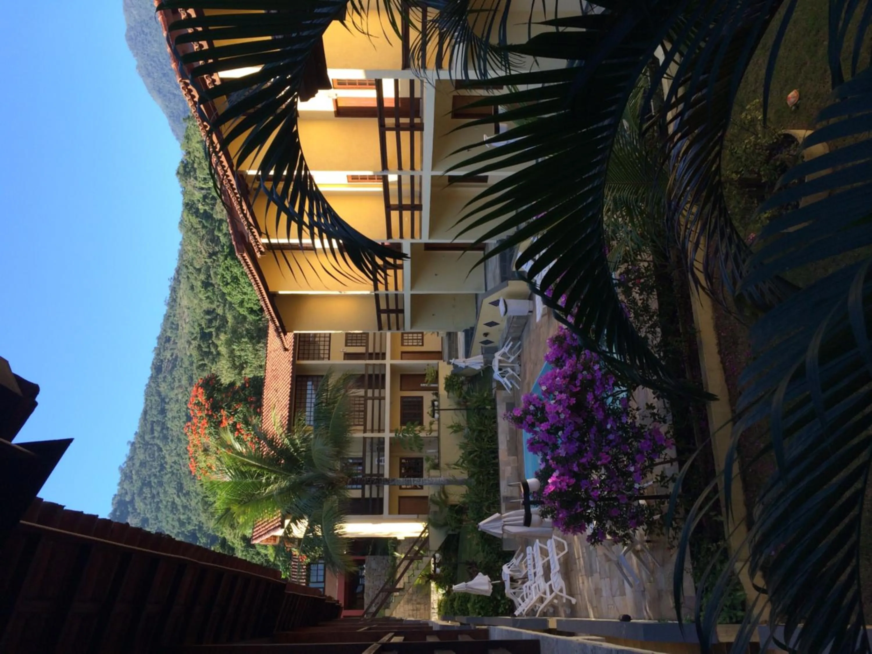 Garden in Hotel da Ilha