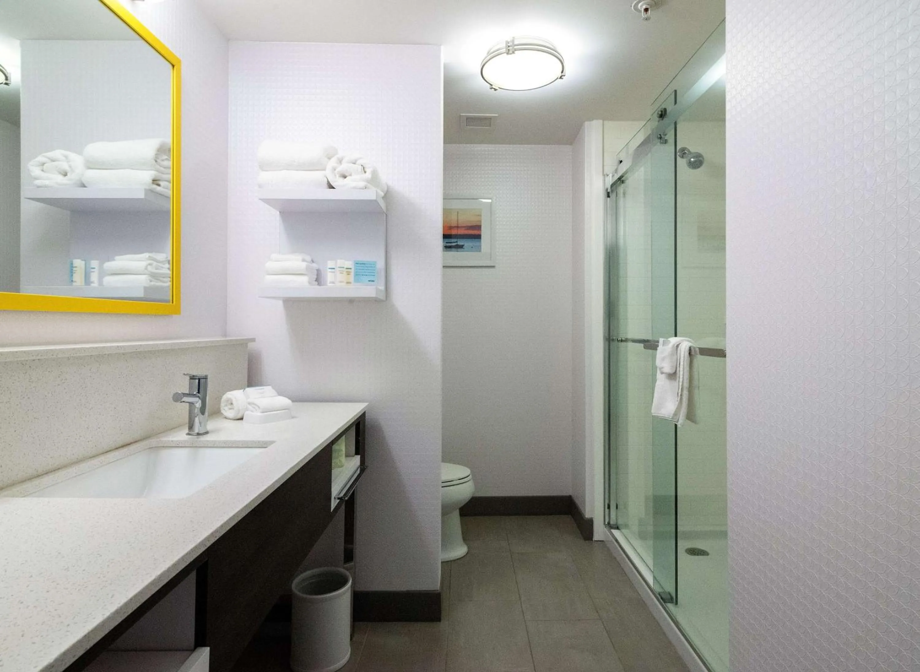 Bathroom in Hampton Inn & Suites - Allen Park