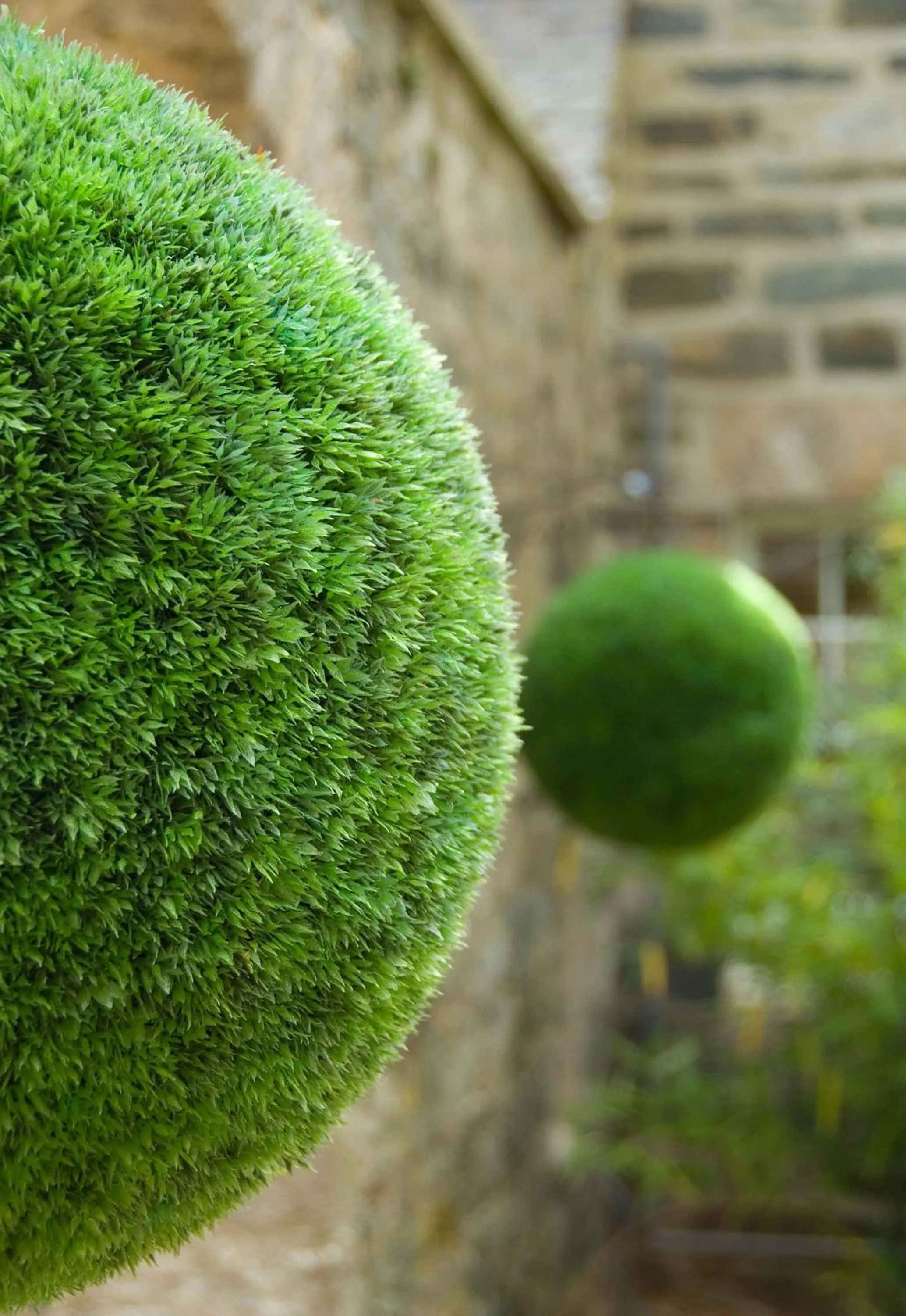 Garden in Craigatin House & Courtyard