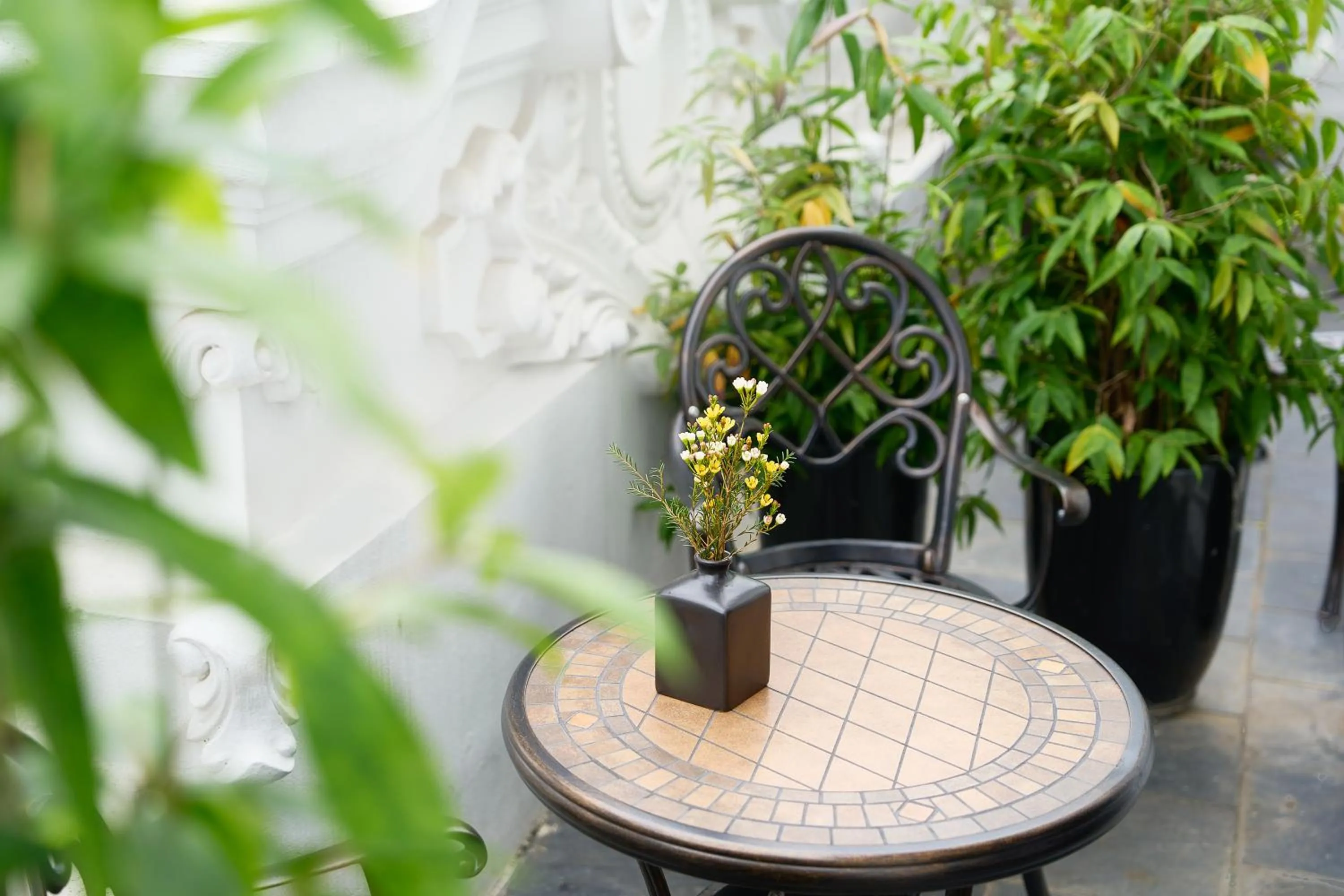 Garden view in La Sinfonía Citadel Hotel and Spa